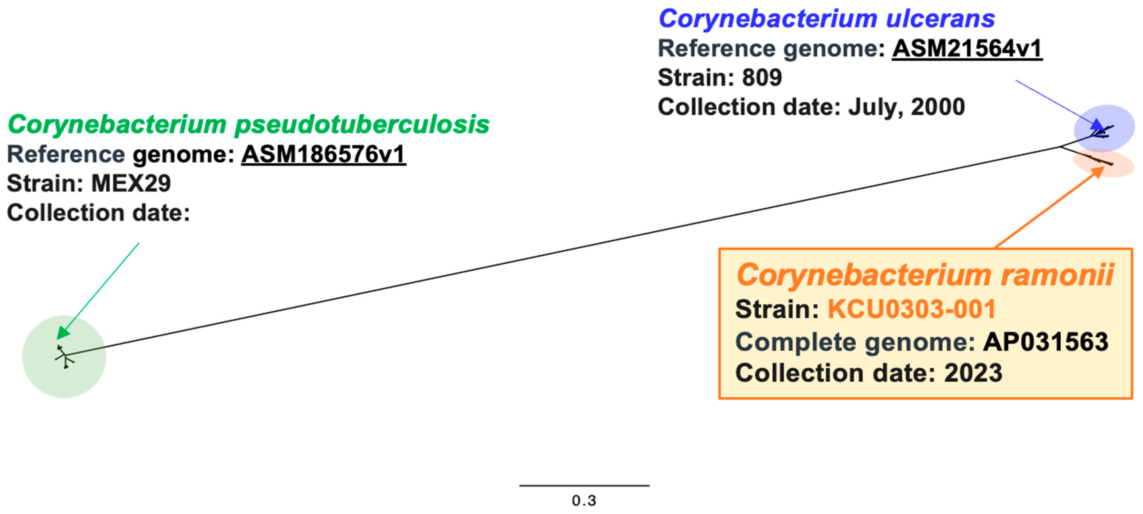 Zoonoticdis 04 00020 g001