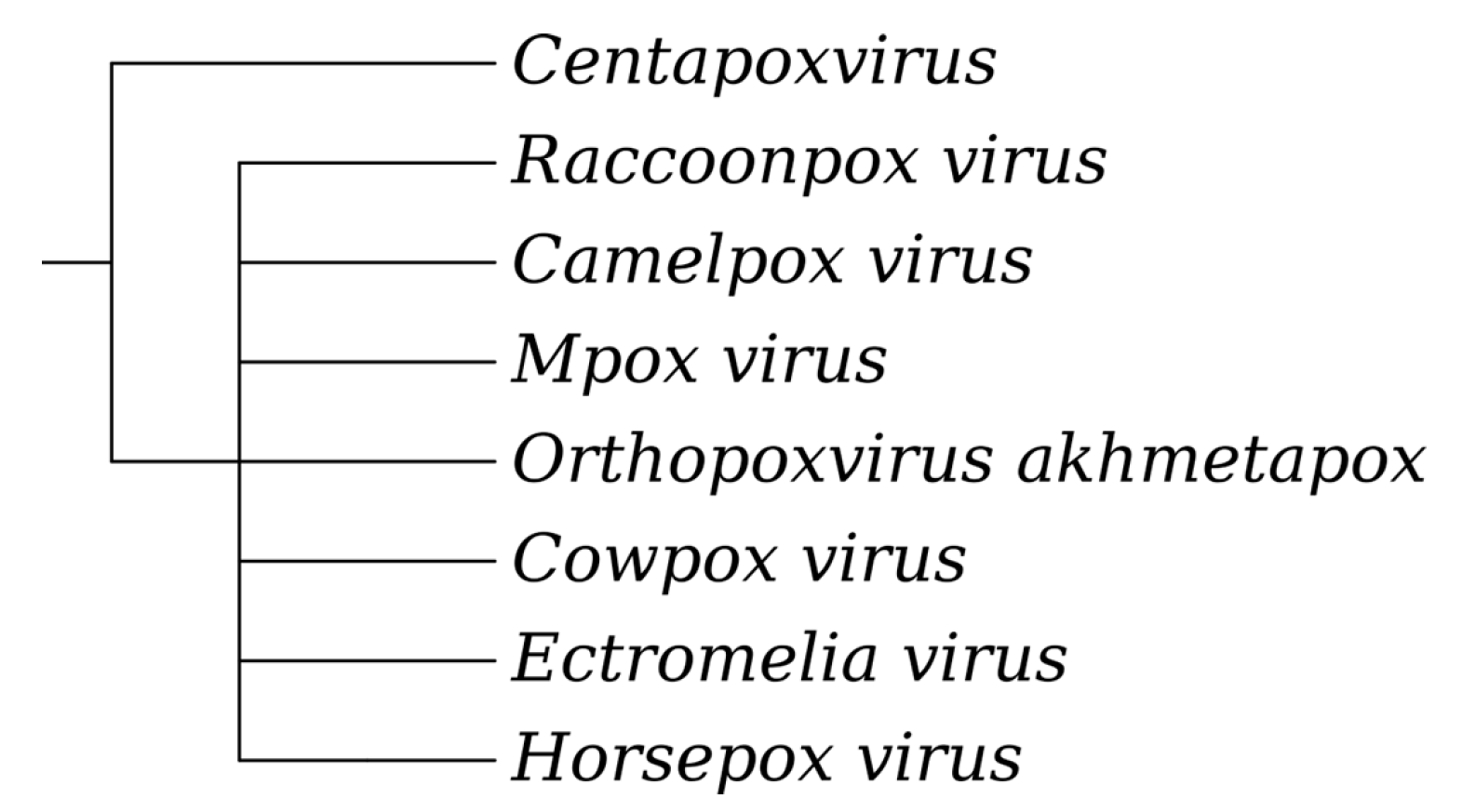 Zoonoticdis 05 00003 g001