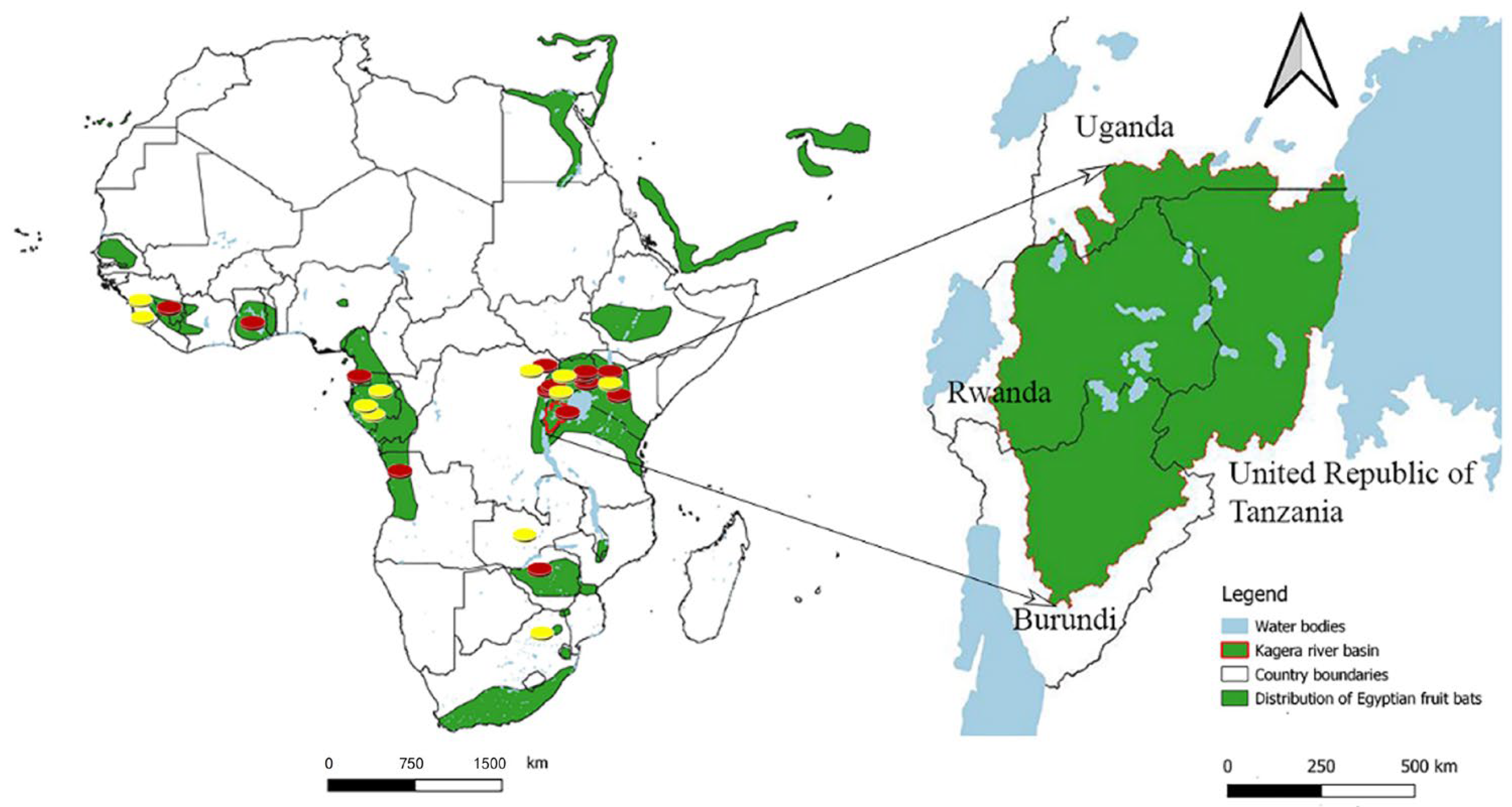 Zoonoticdis 05 00006 g001