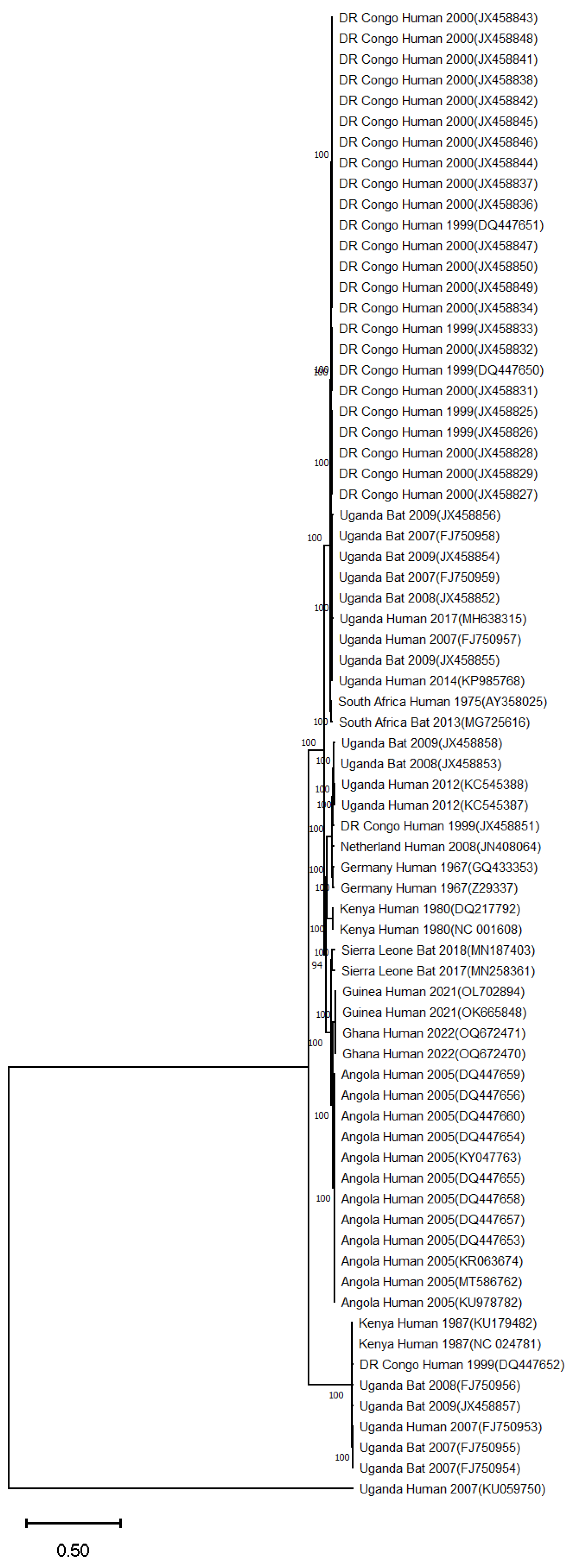 Zoonoticdis 05 00006 g002