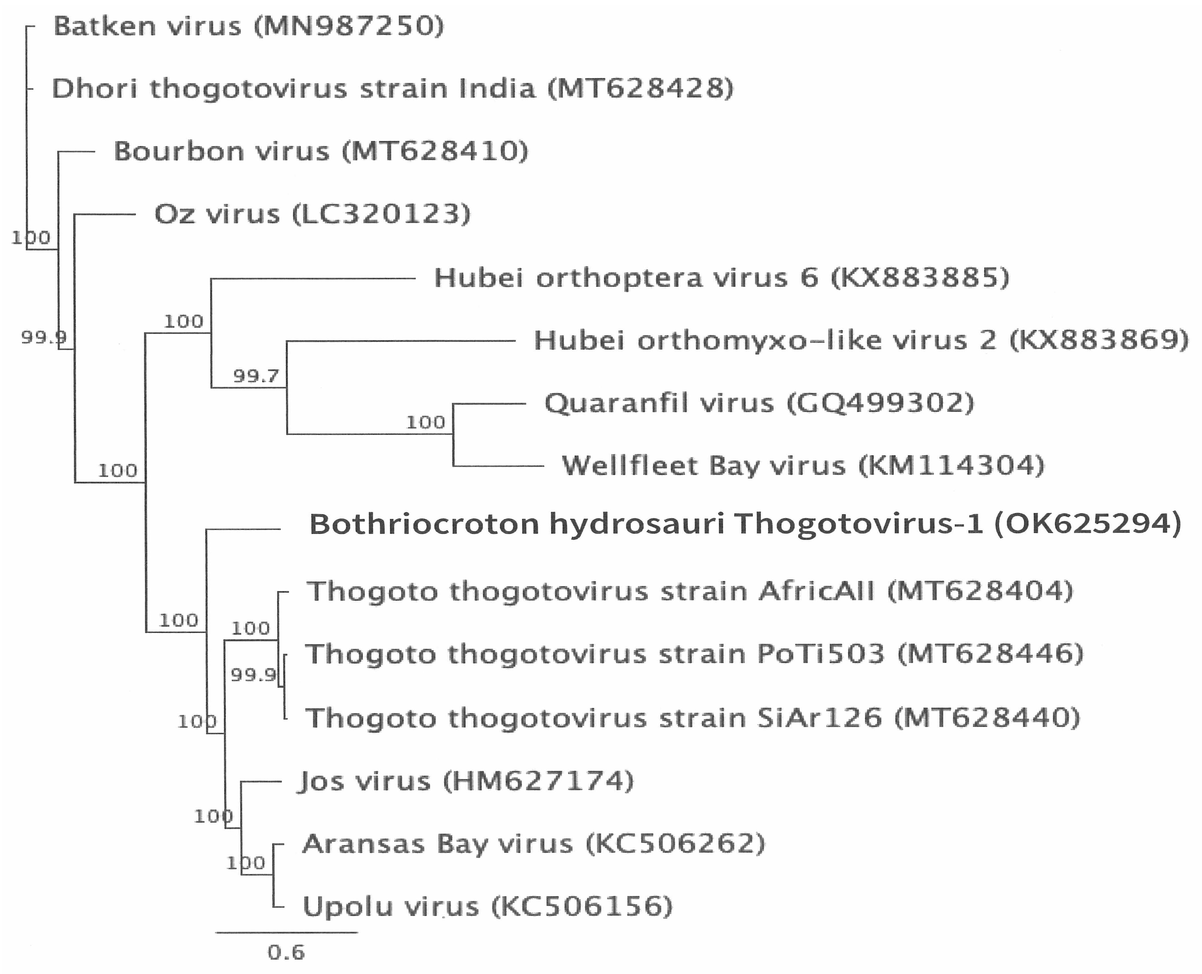 Zoonoticdis 05 00009 g003