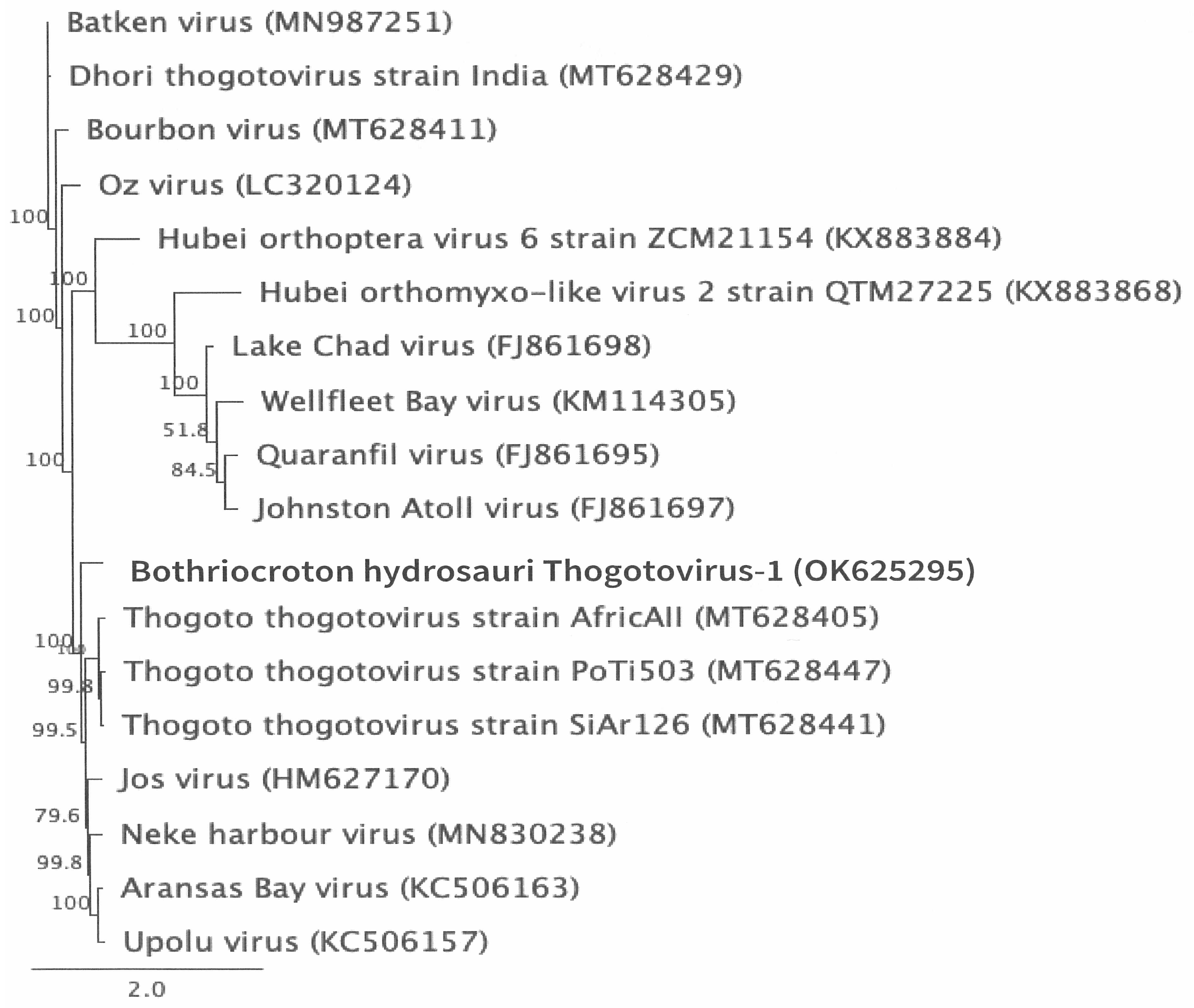 Zoonoticdis 05 00009 g004