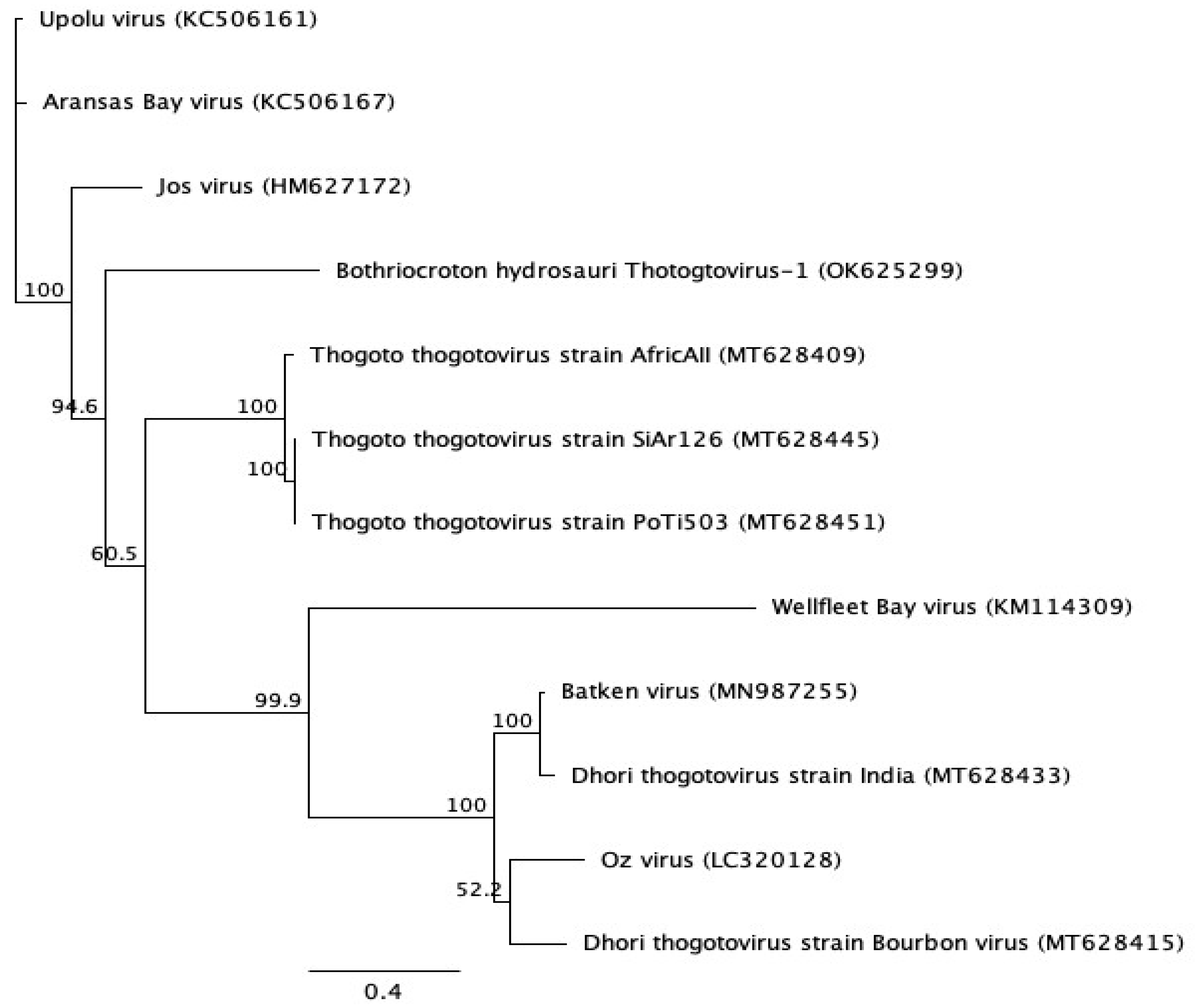 Zoonoticdis 05 00009 g008