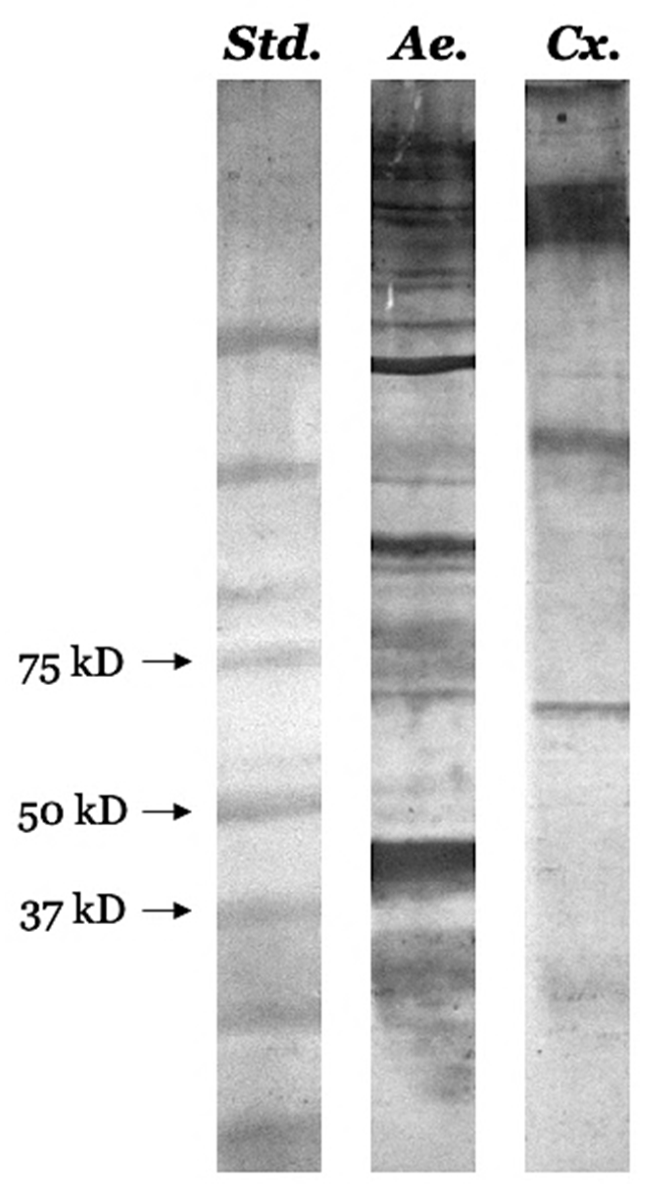Zoonoticdis 05 00011 g007