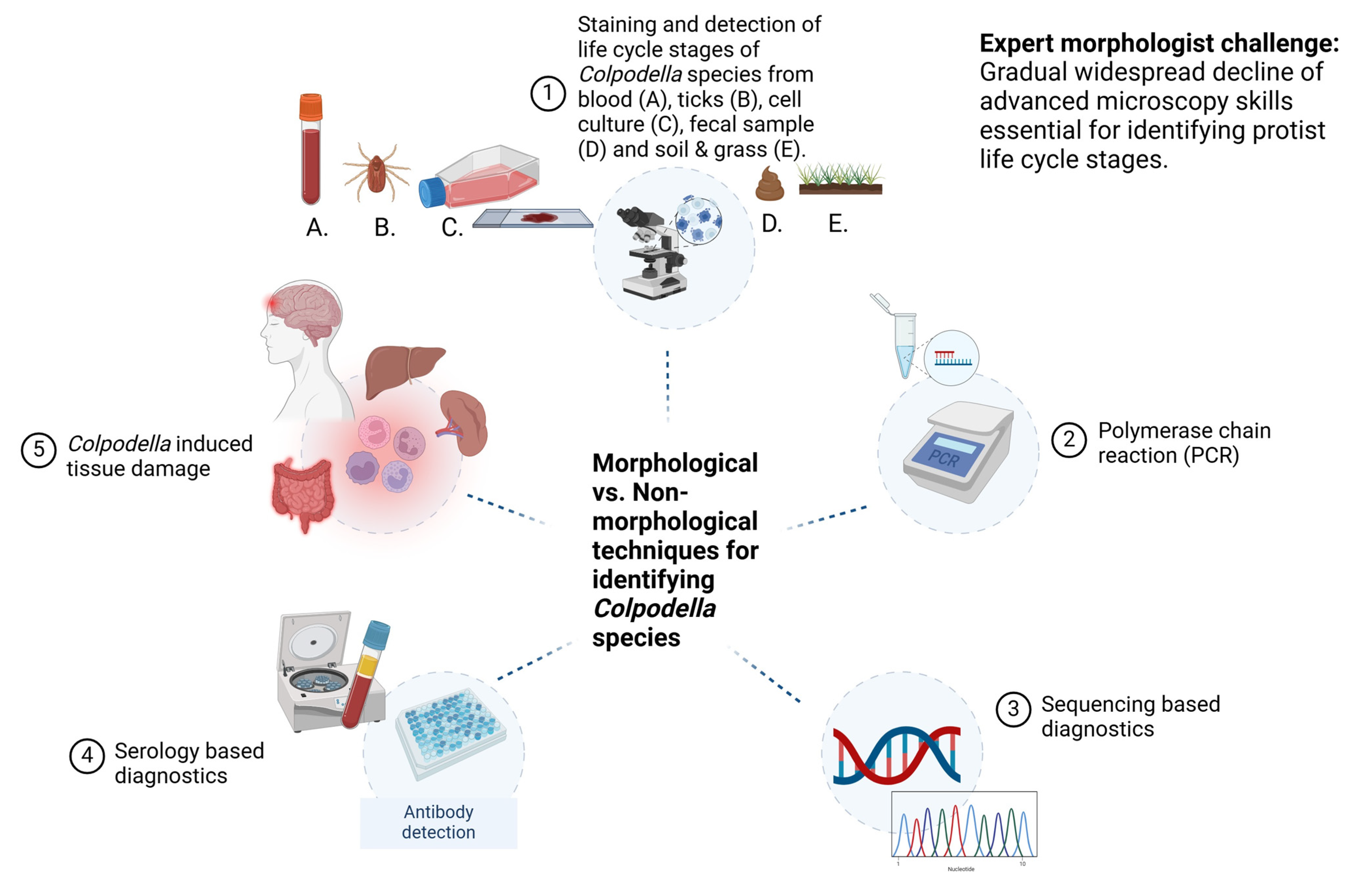 Zoonoticdis 05 00014 g001 Zoonoticdis 05 00014 g001