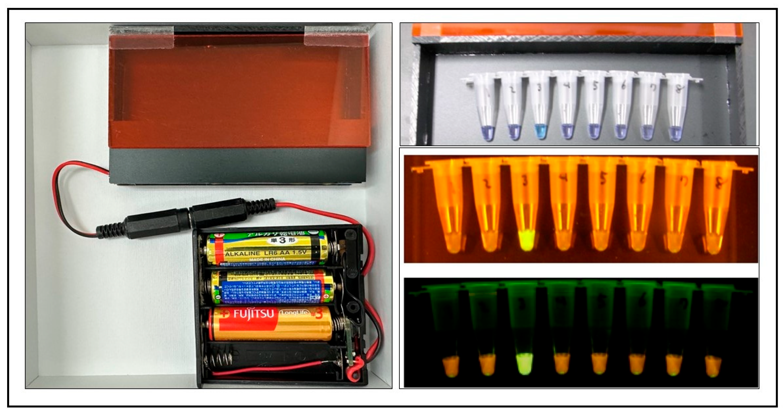 Zoonoticdis 05 00019 g001