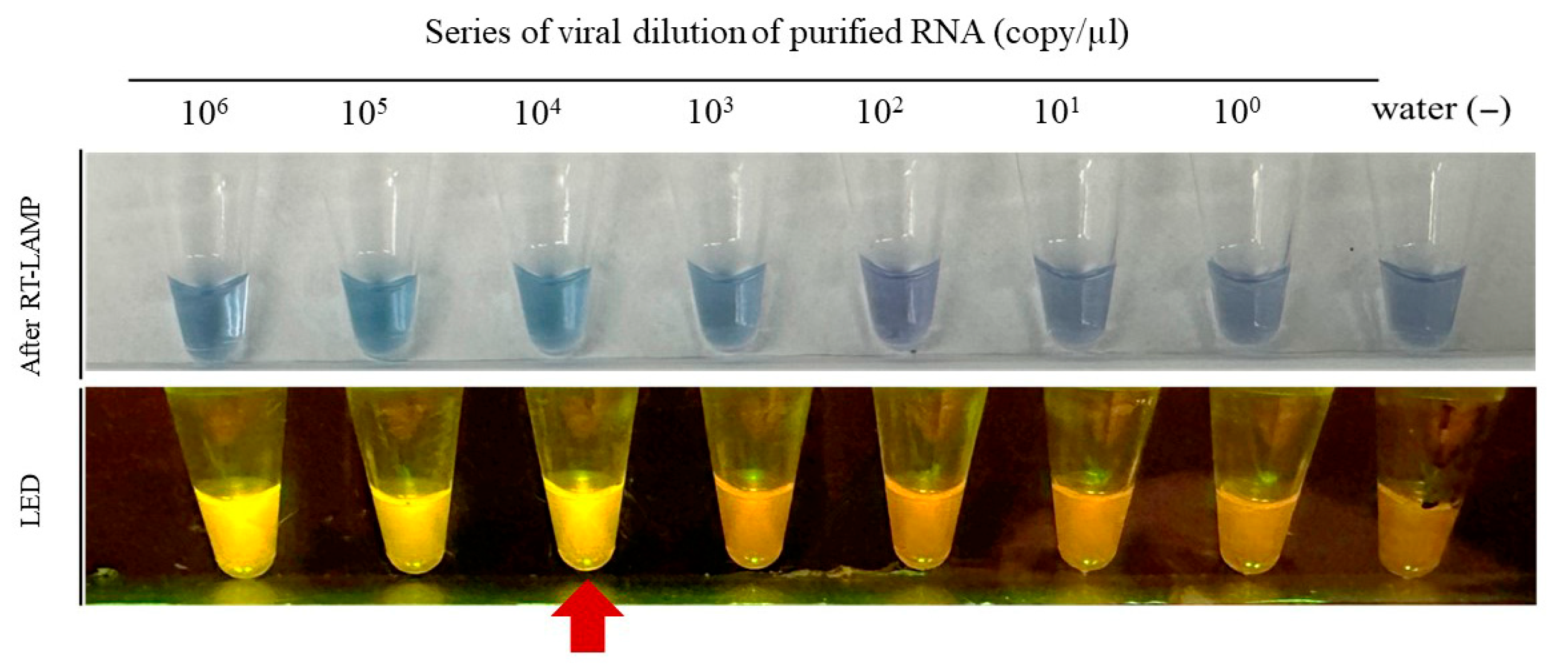 Zoonoticdis 05 00019 g002
