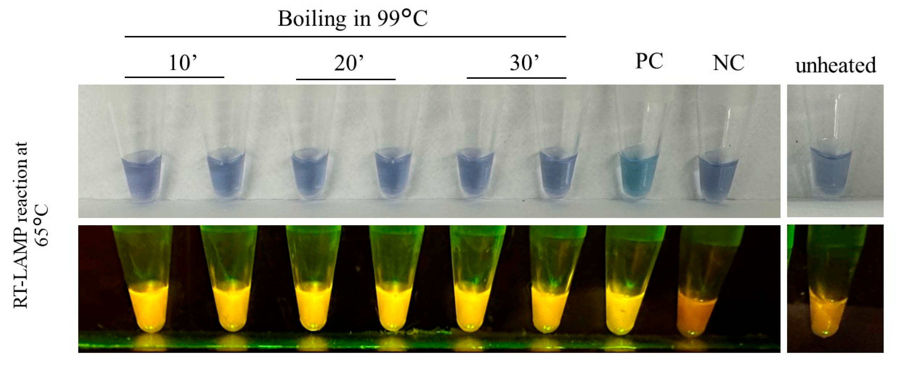 Zoonoticdis 05 00019 g003