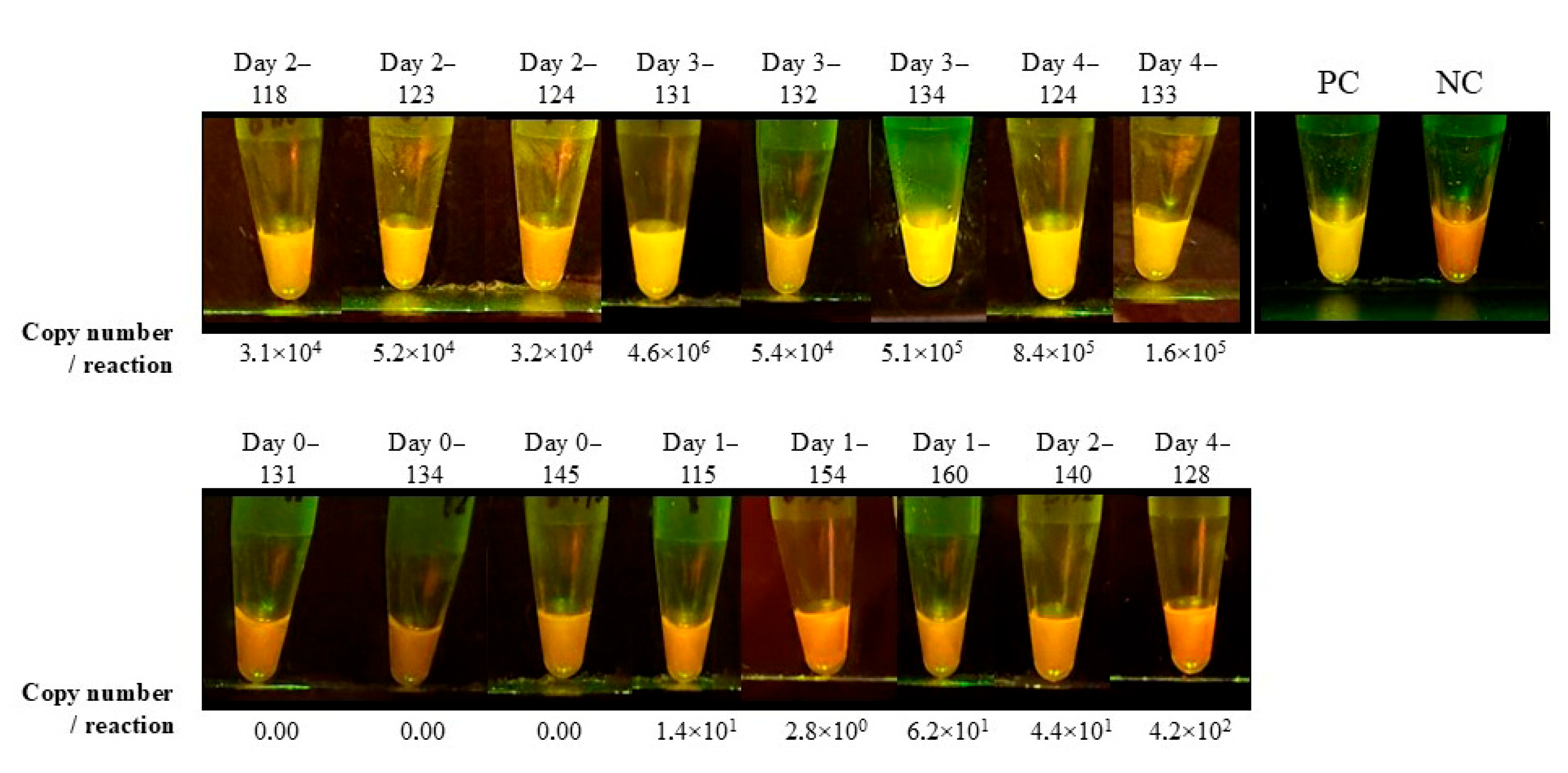 Zoonoticdis 05 00019 g004
