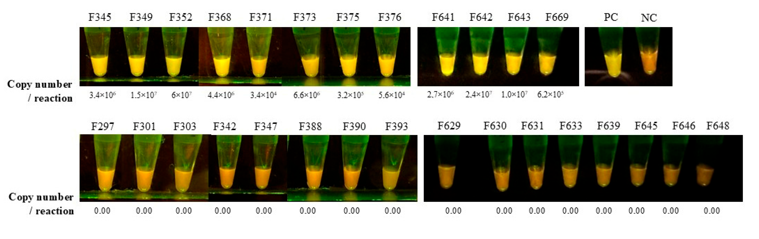 Zoonoticdis 05 00019 g005