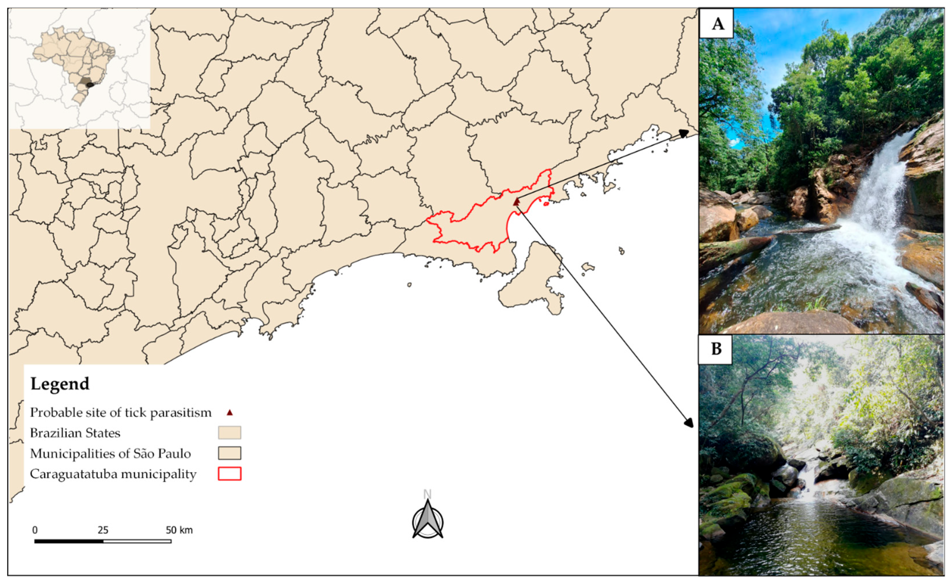 Zoonoticdis 05 00025 g001 Zoonoticdis 05 00025 g001