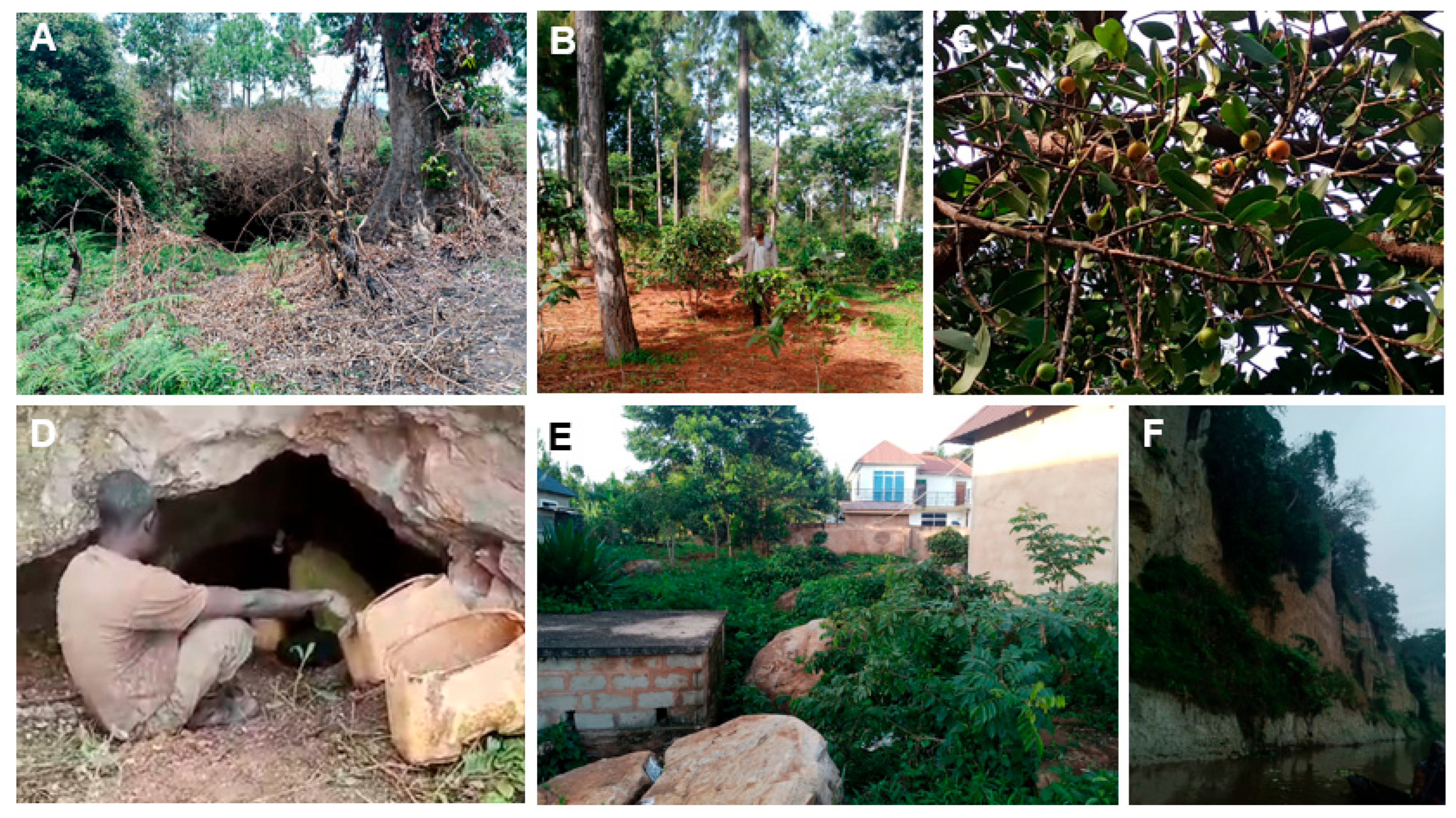 Zoonoticdis 05 00030 g008