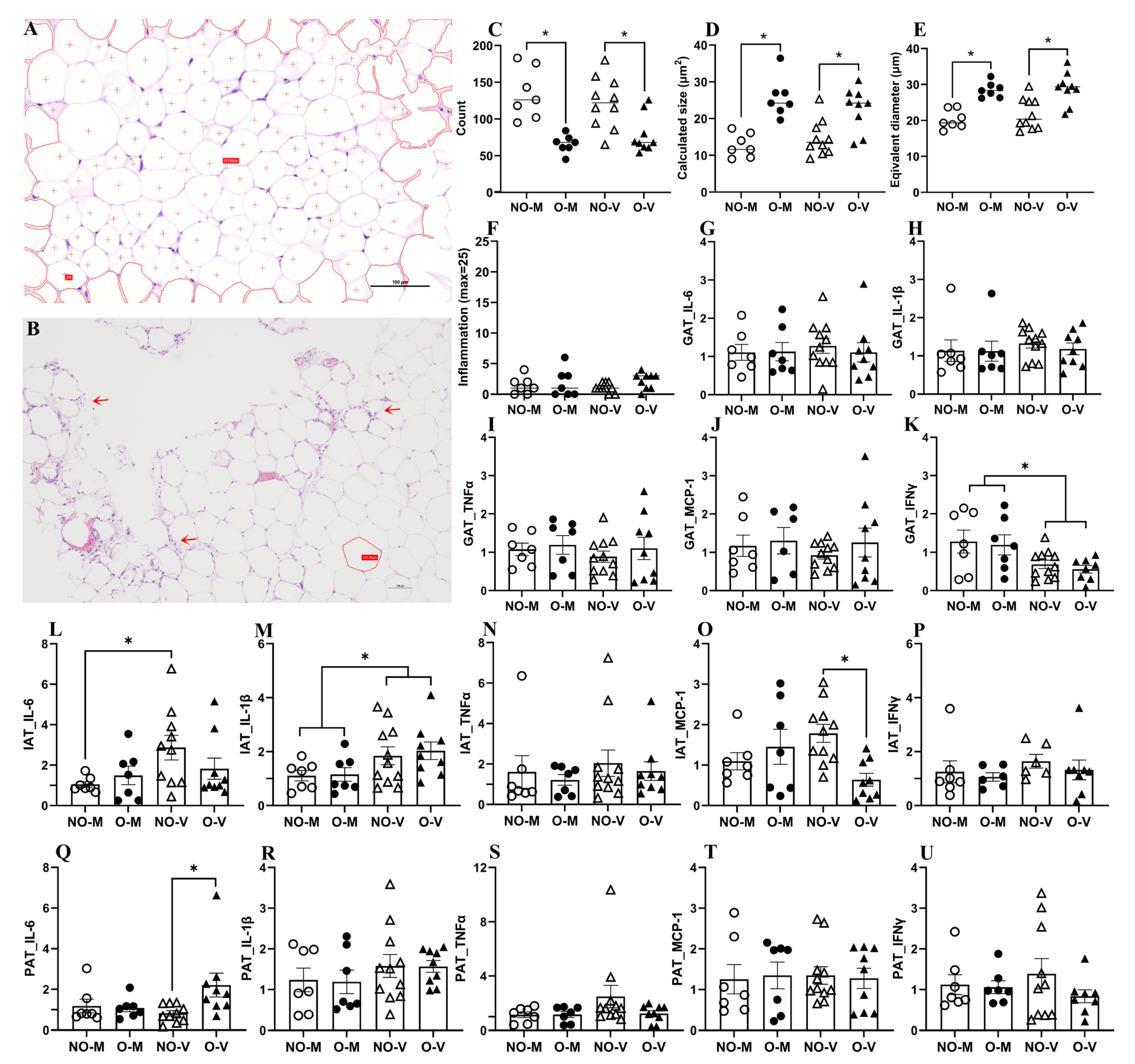 Zoonoticdis 05 00031 g004