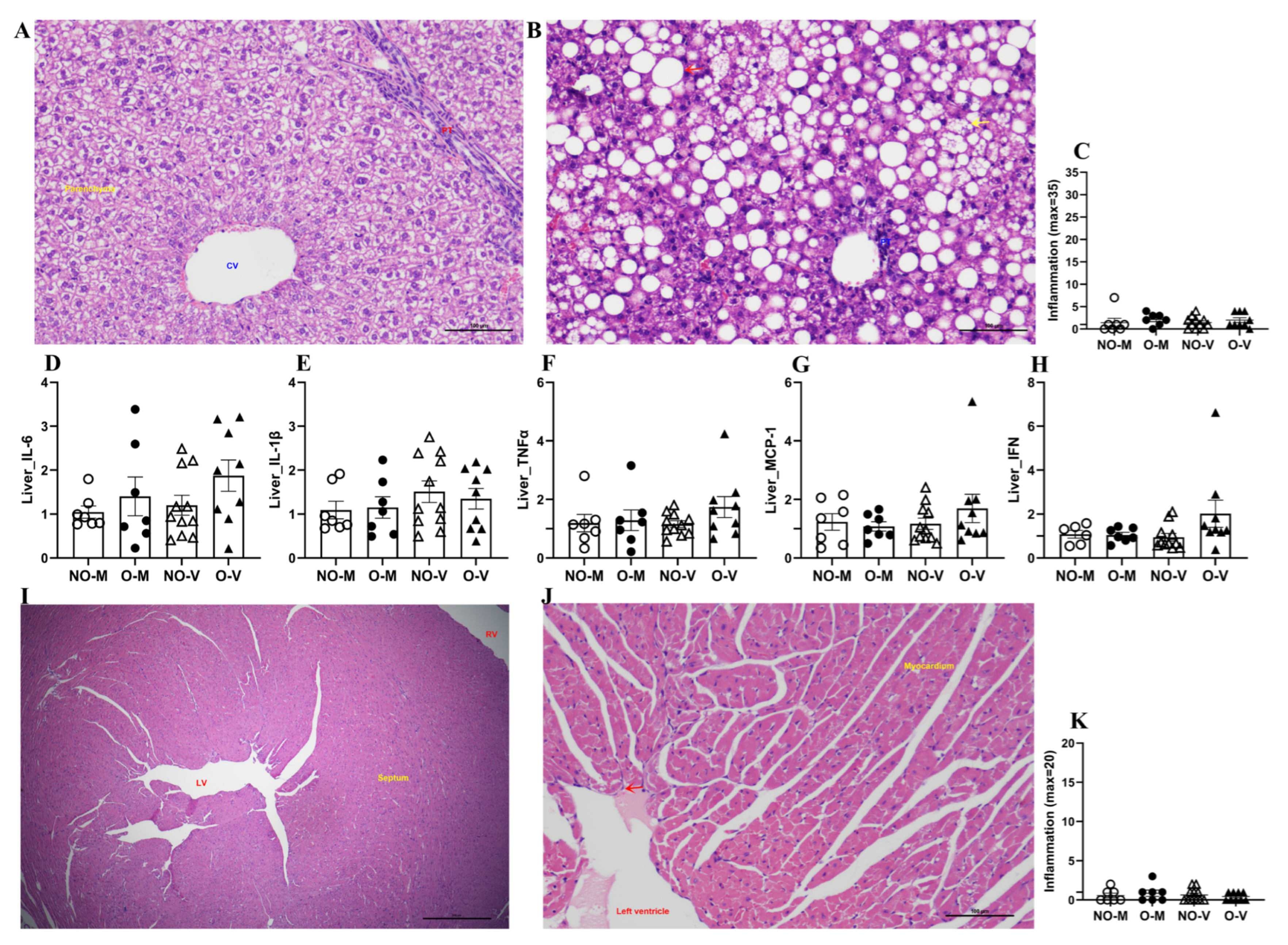 Zoonoticdis 05 00031 g005