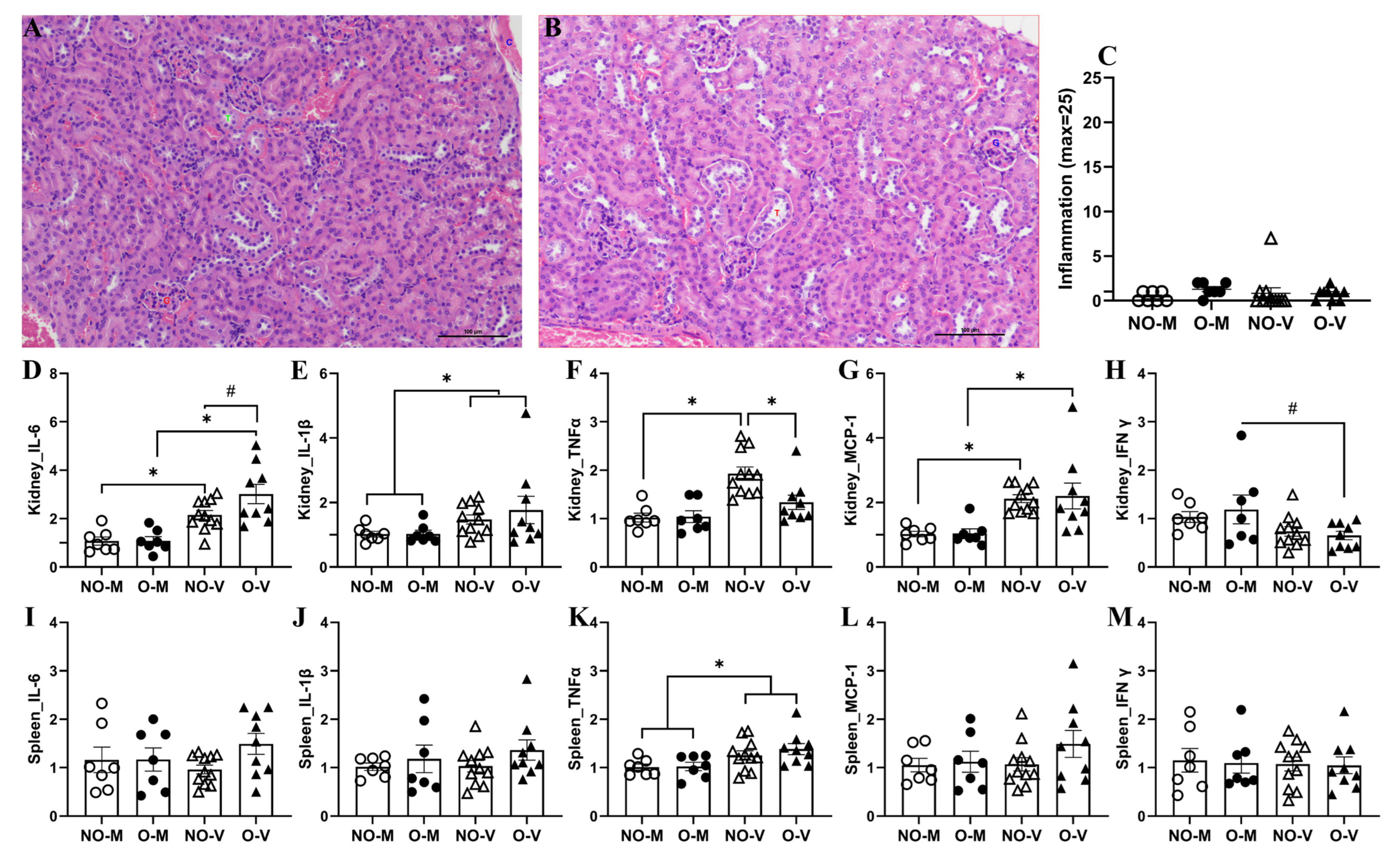 Zoonoticdis 05 00031 g006
