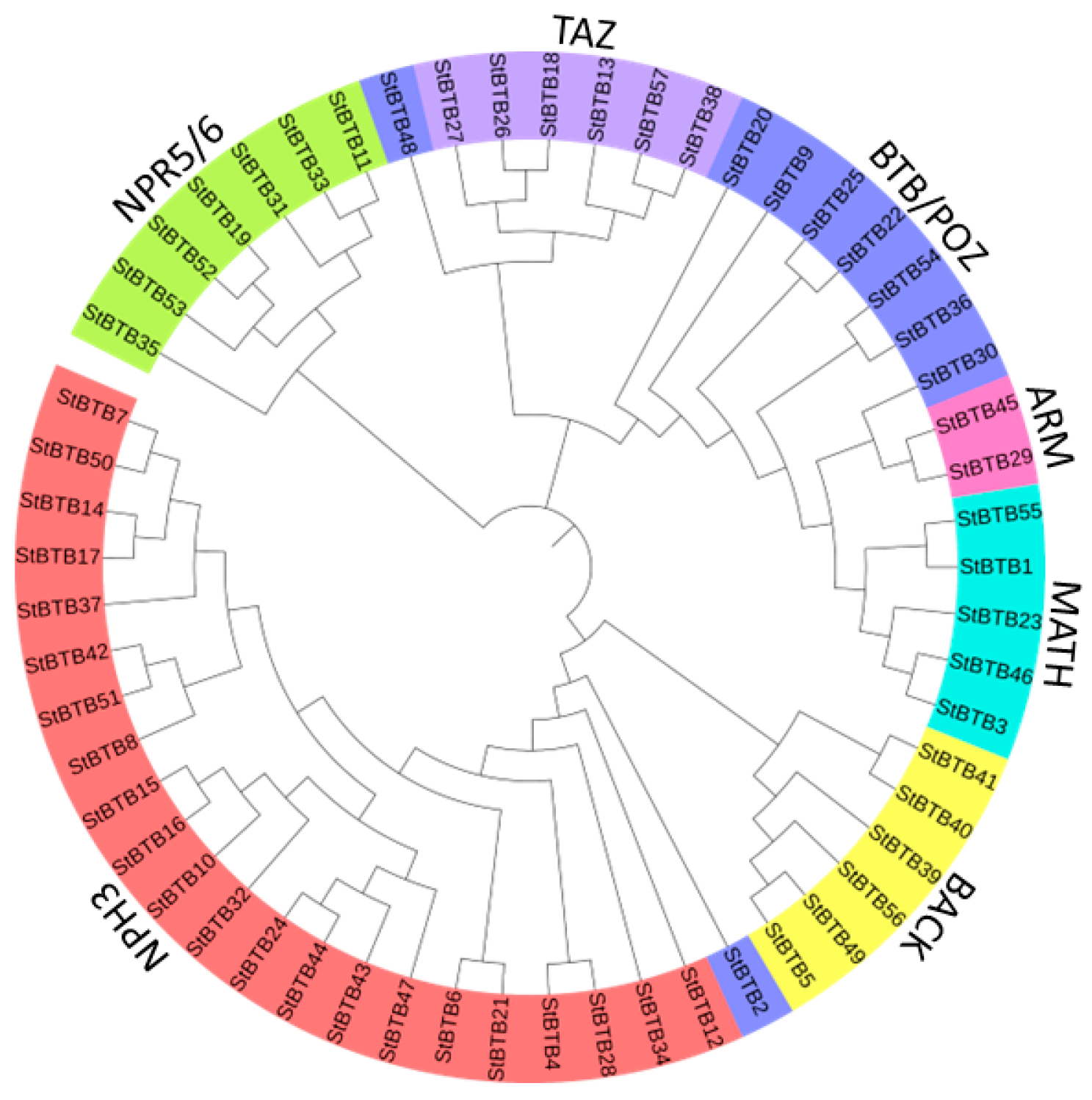 Agriculture 14 00771 g004