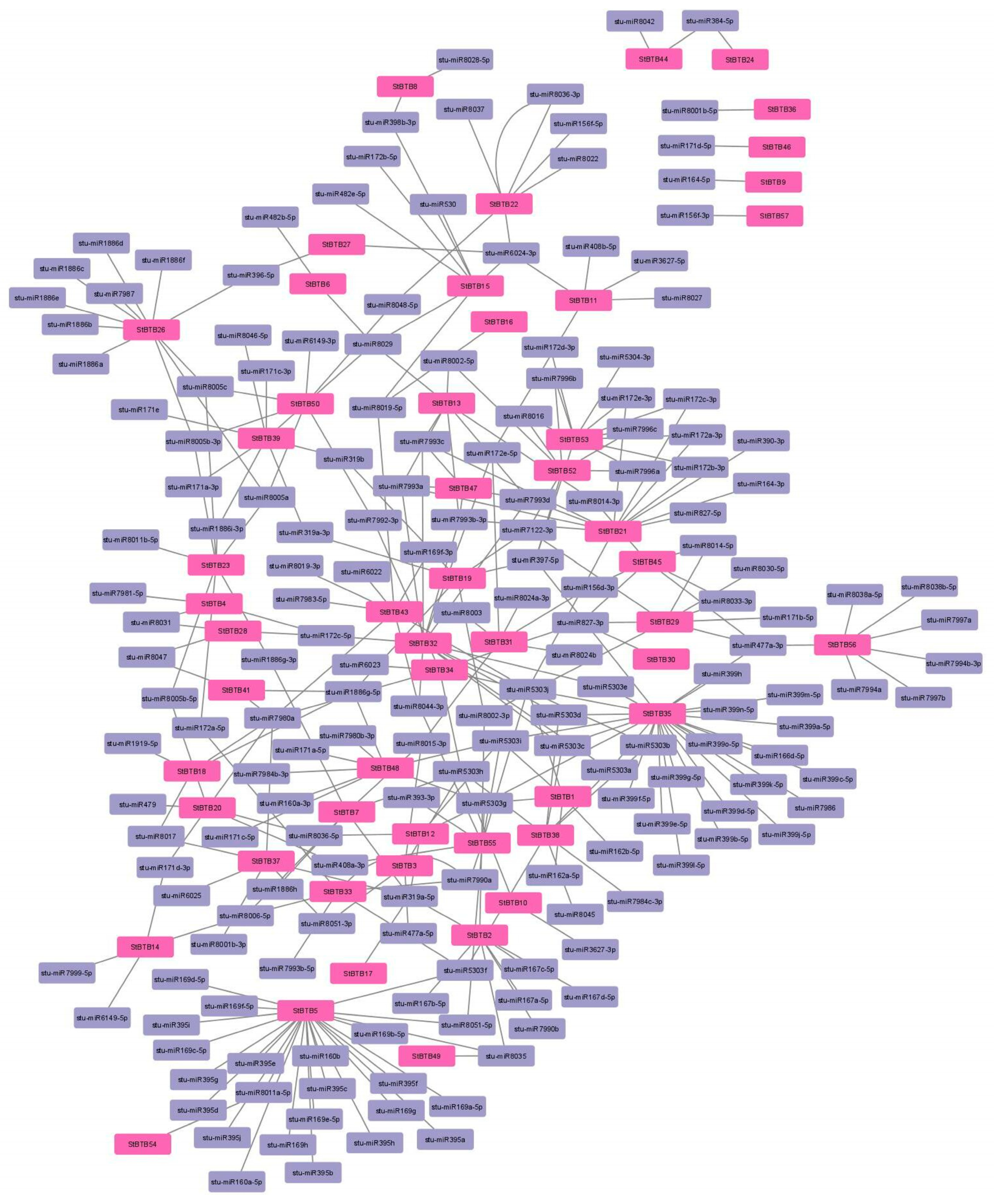 Agriculture 14 00771 g008