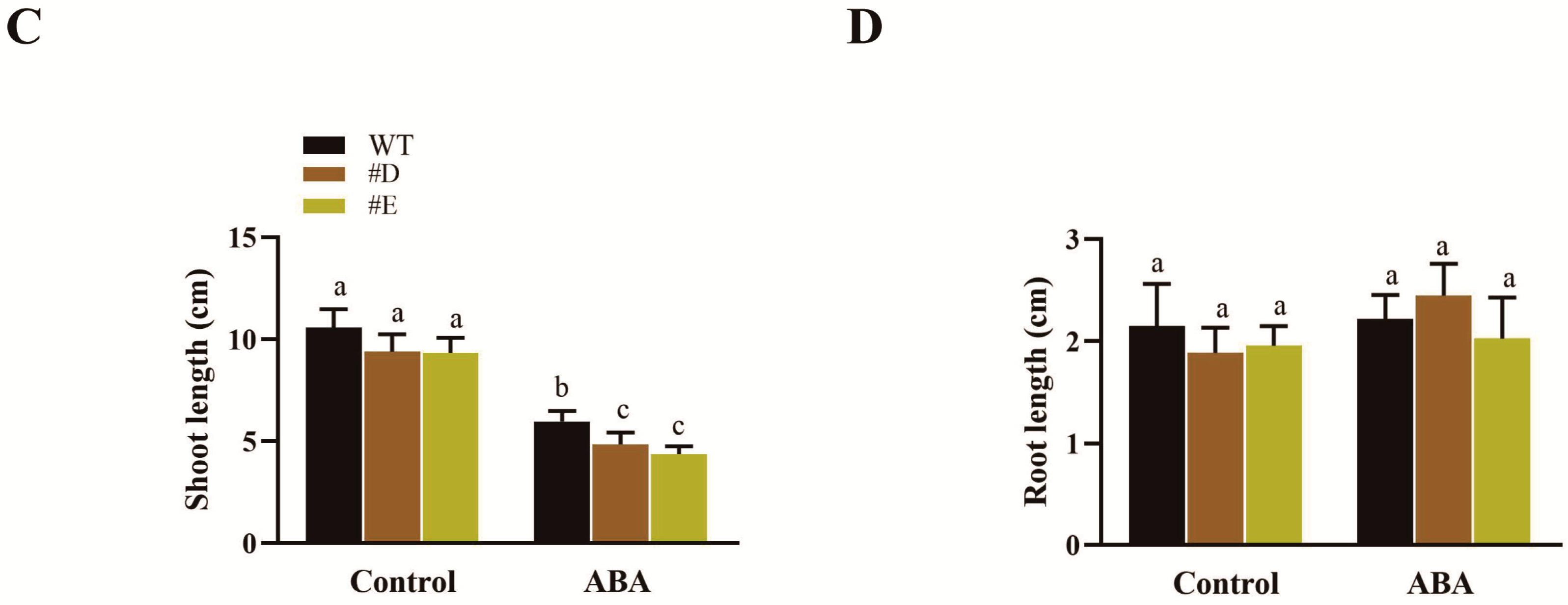 Agronomy 14 01050 g001b Agronomy 14 01050 g001b