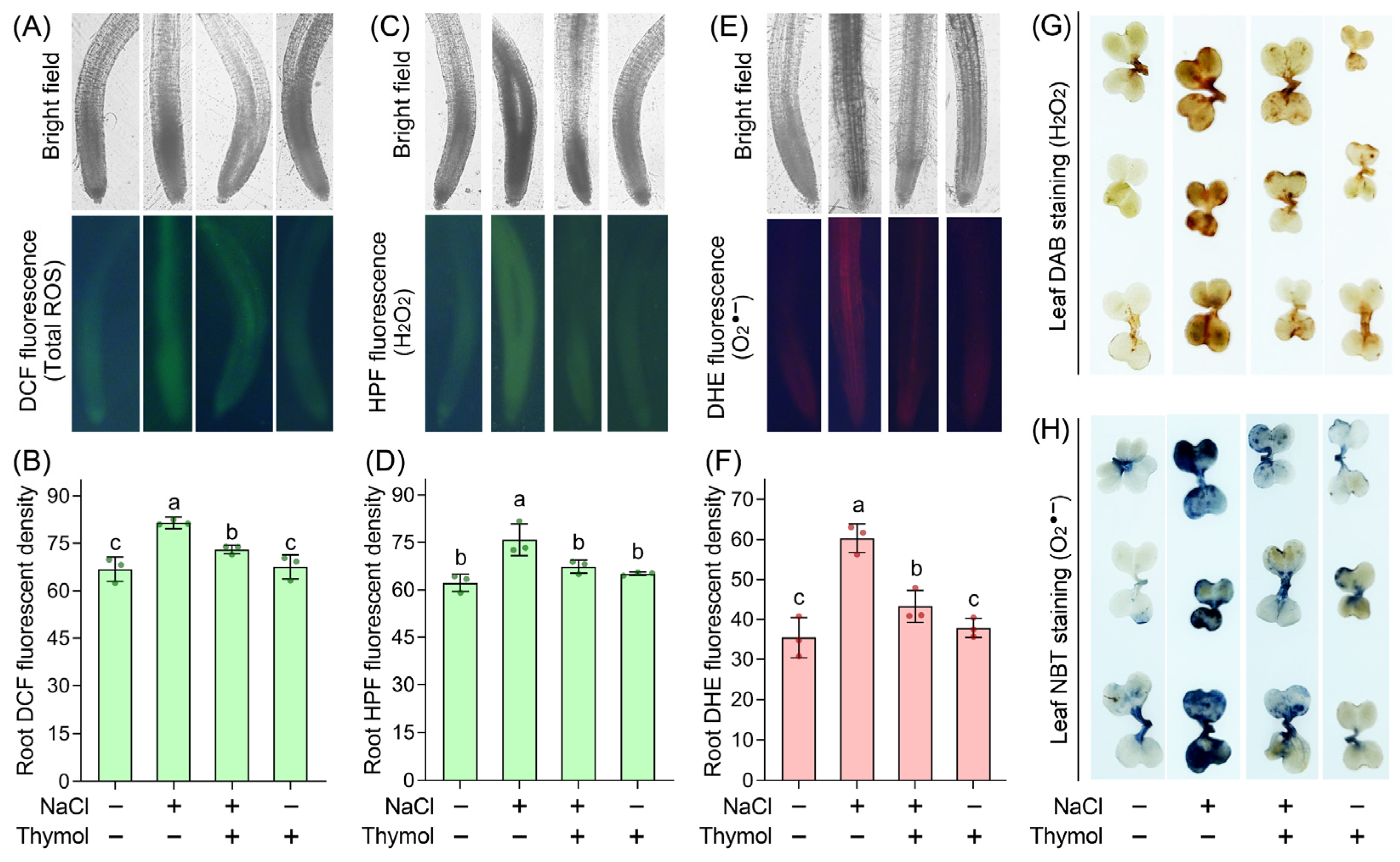 Agronomy 14 01059 g003