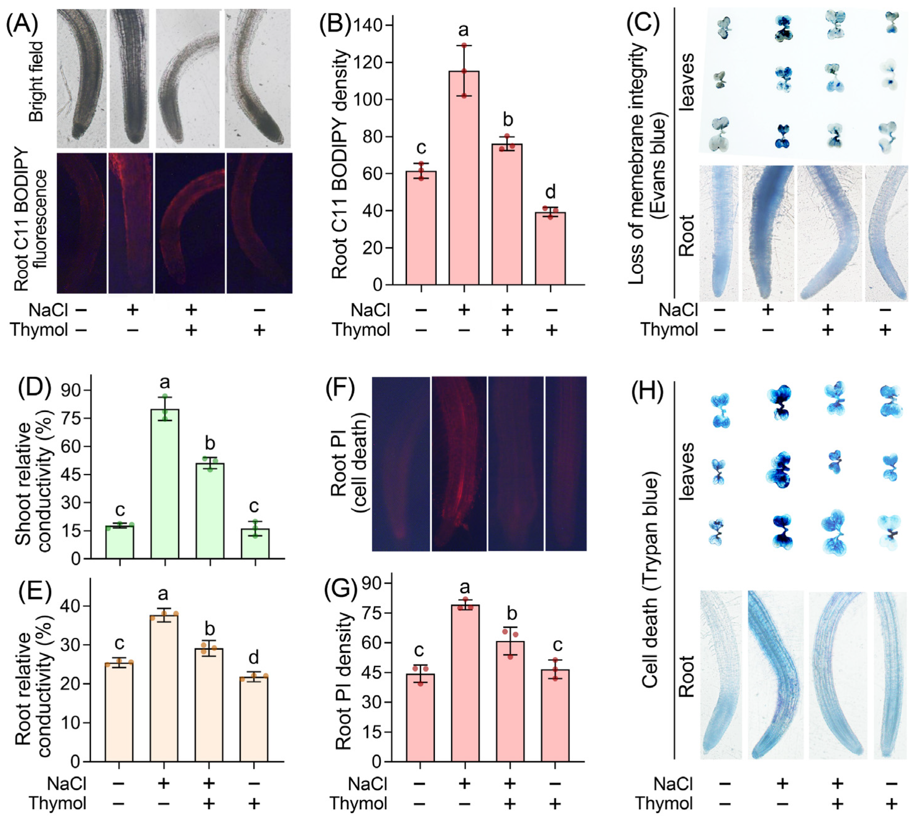 Agronomy 14 01059 g004