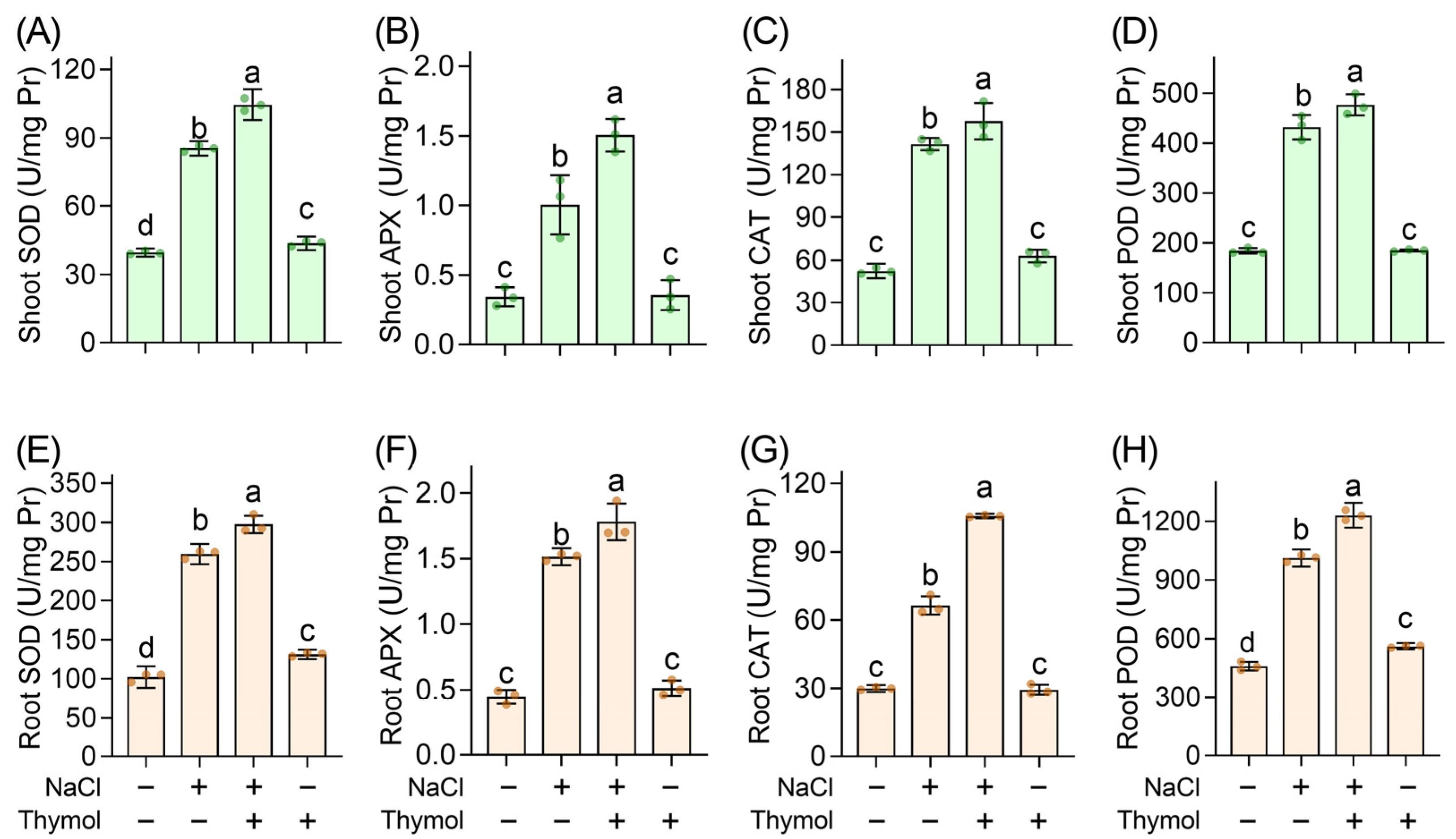 Agronomy 14 01059 g005