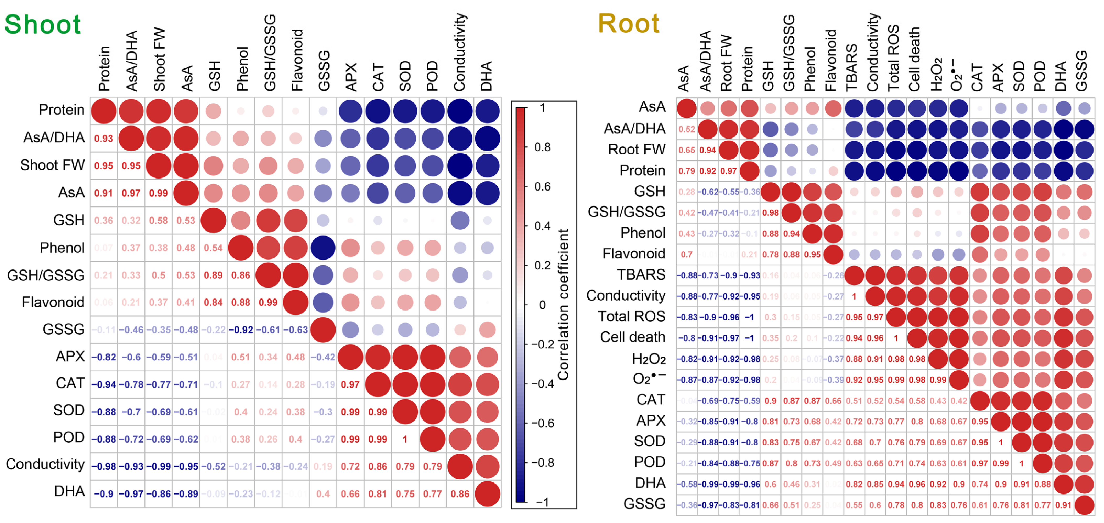 Agronomy 14 01059 g009