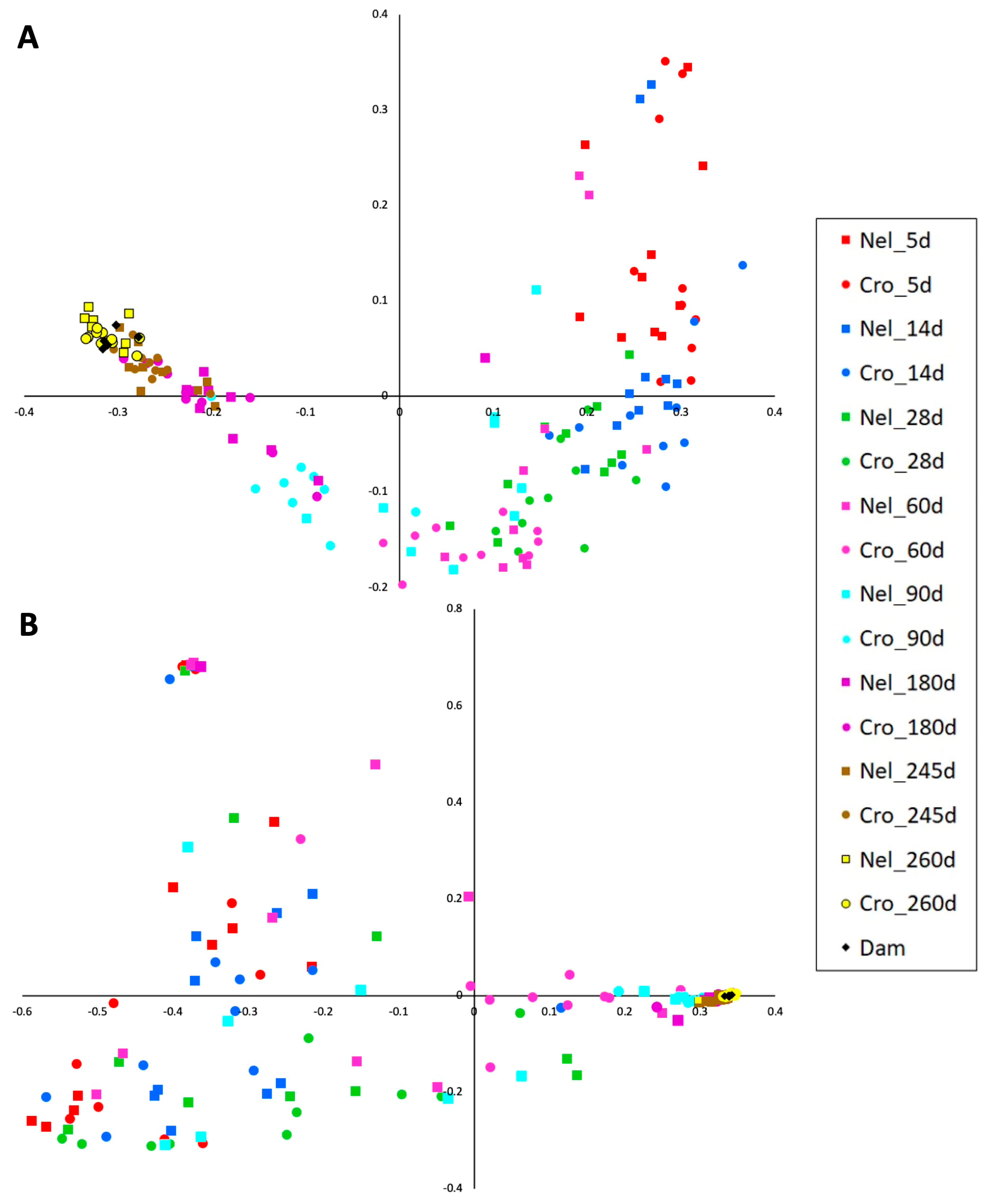 Animals 14 01447 g002