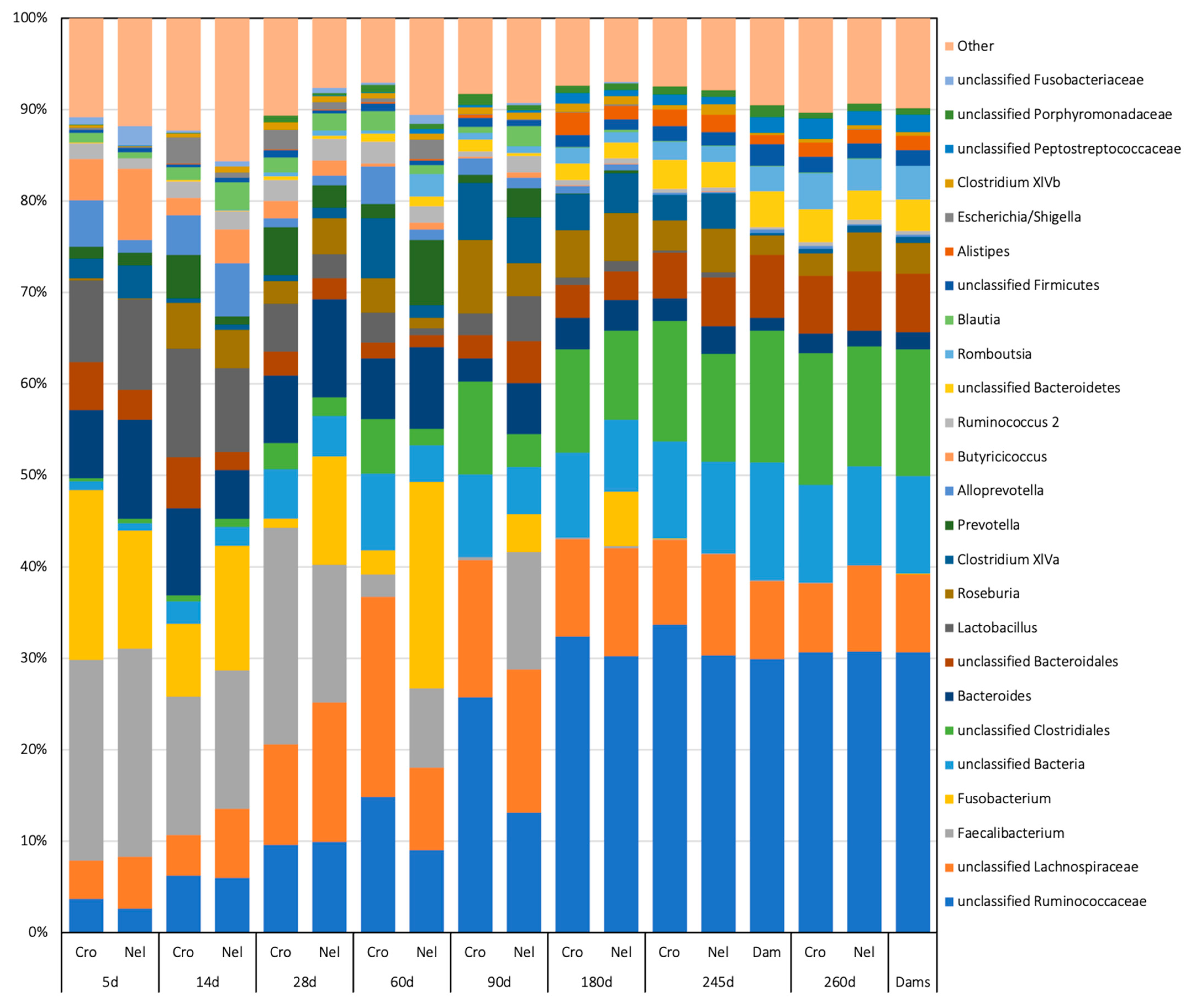 Animals 14 01447 g004