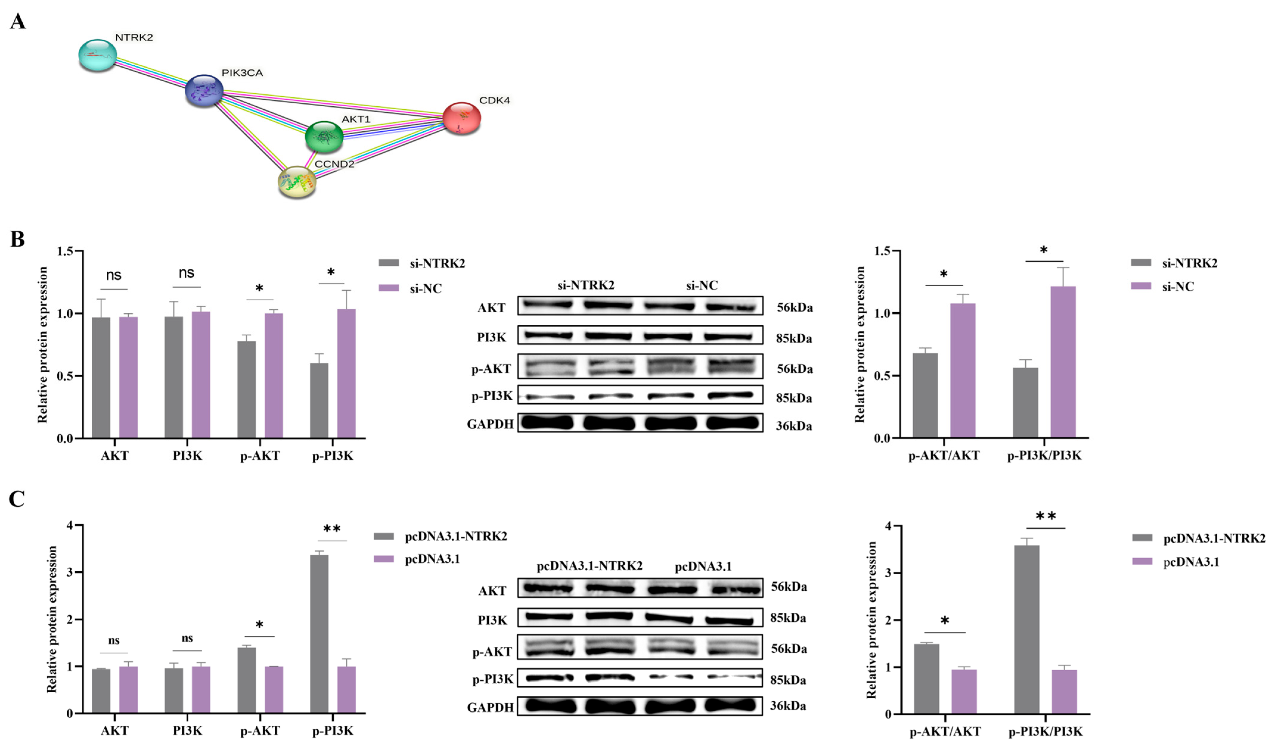 Animals 14 01465 g004