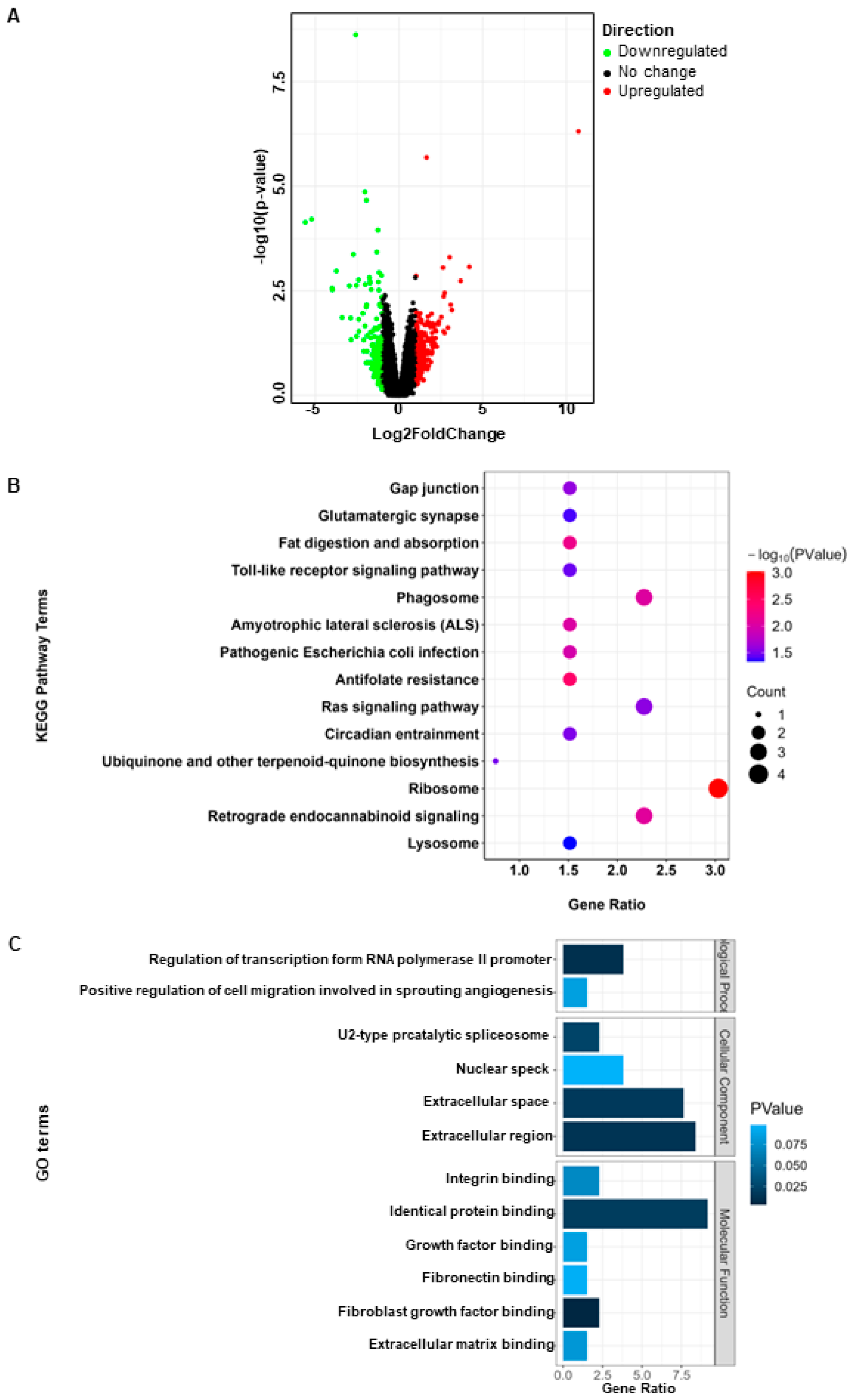 Animals 14 01470 g001
