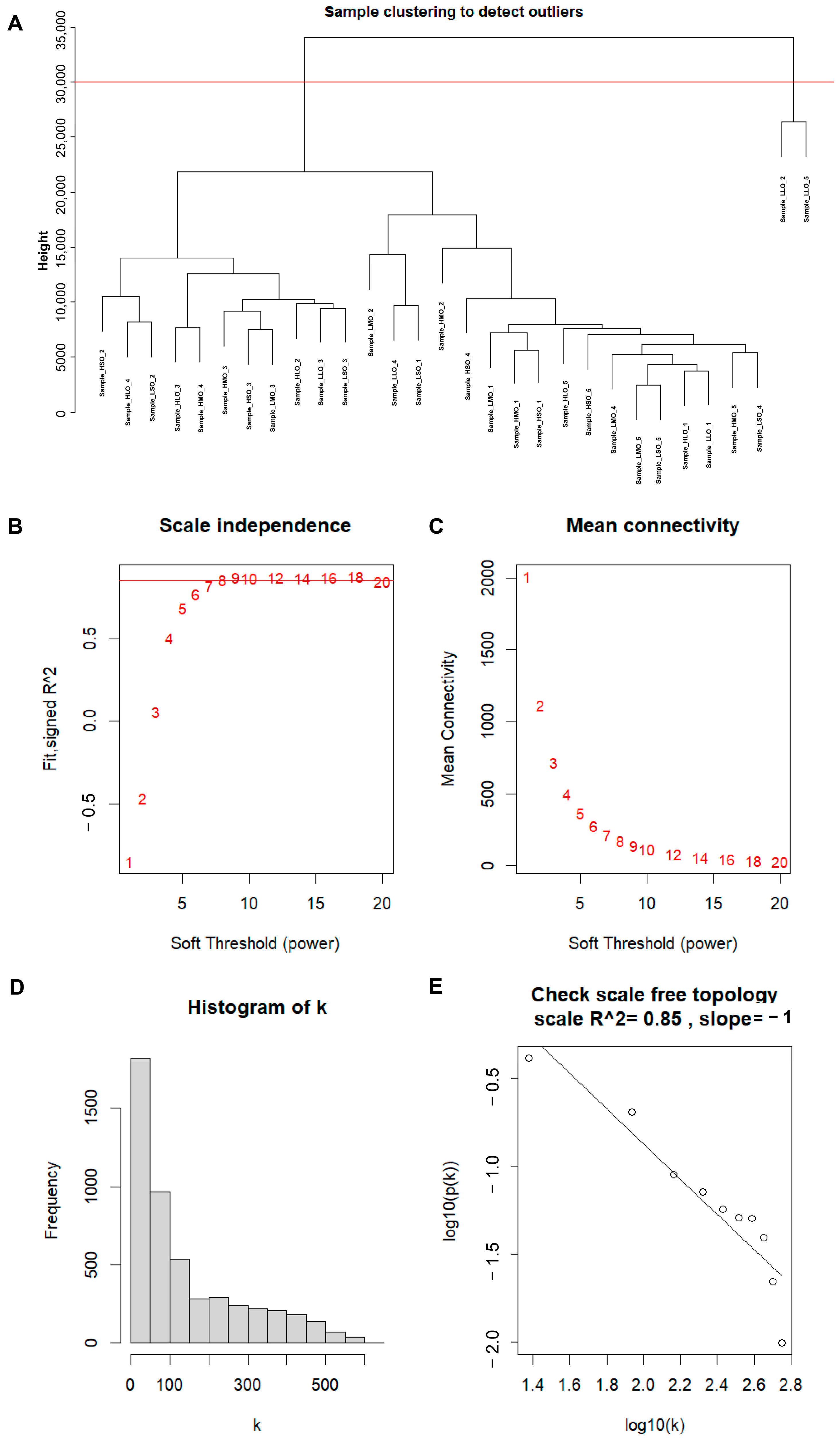 Animals 14 01470 g002