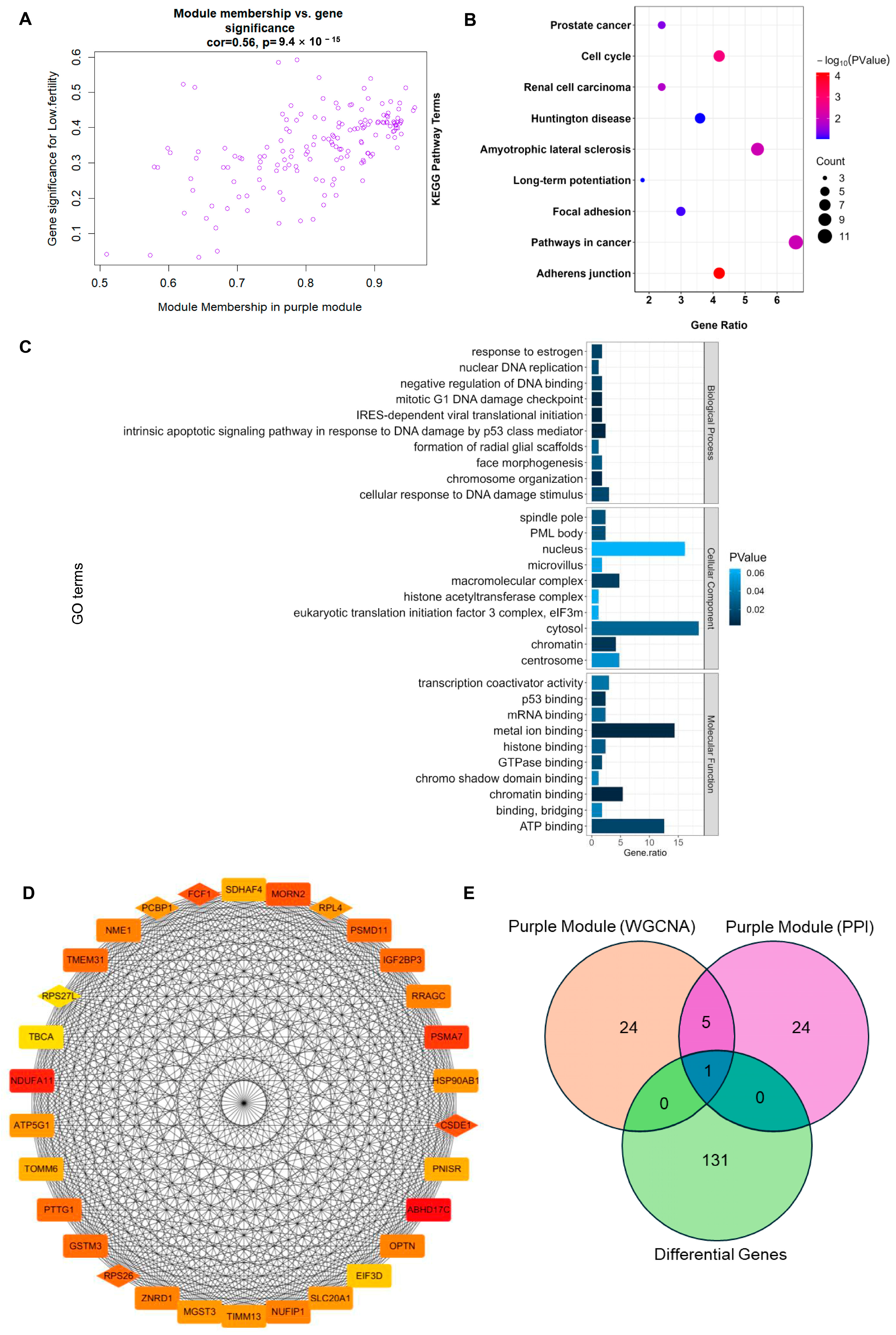 Animals 14 01470 g004
