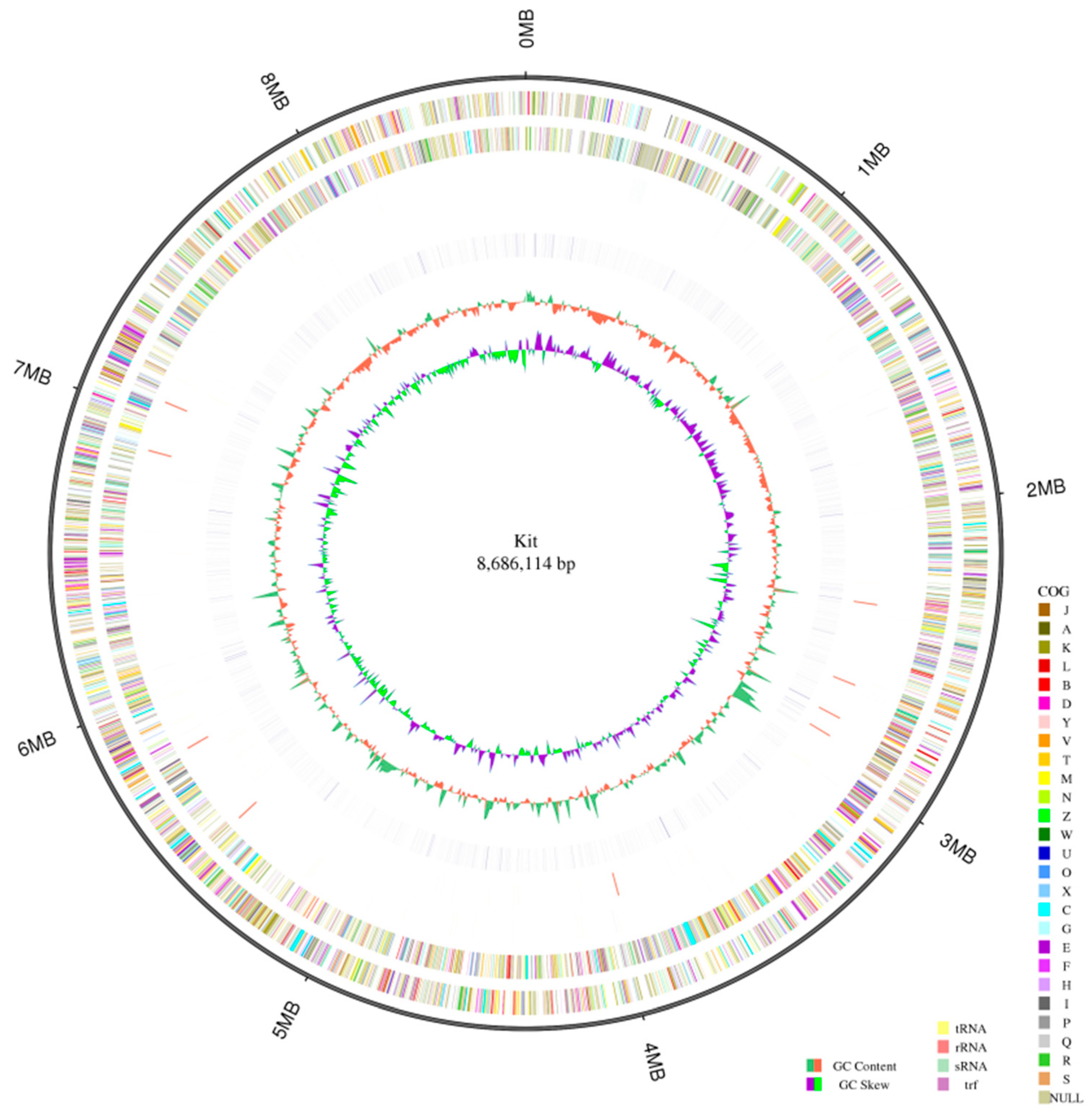 Antibiotics 13 00459 g001