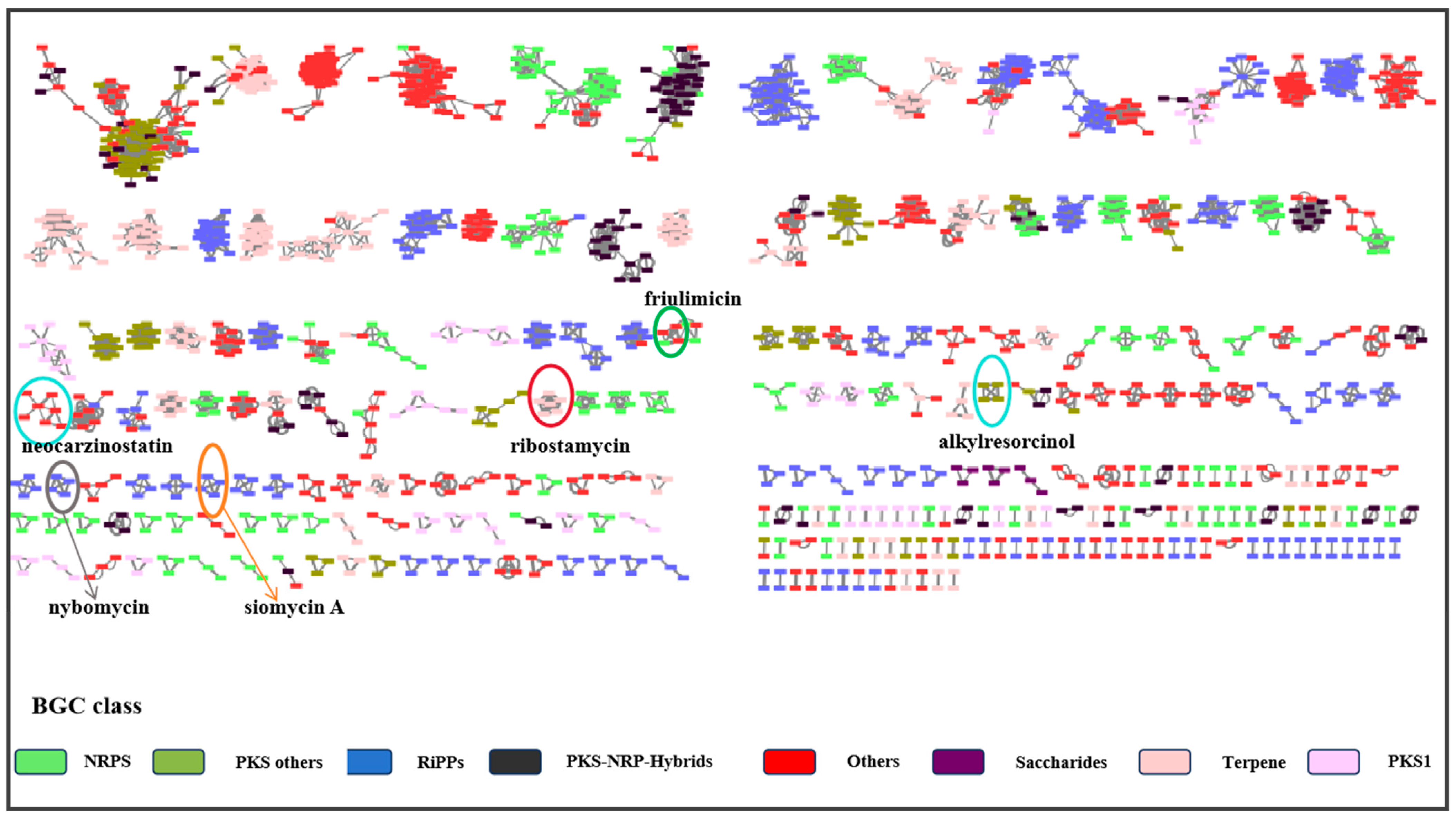 Antibiotics 13 00459 g002