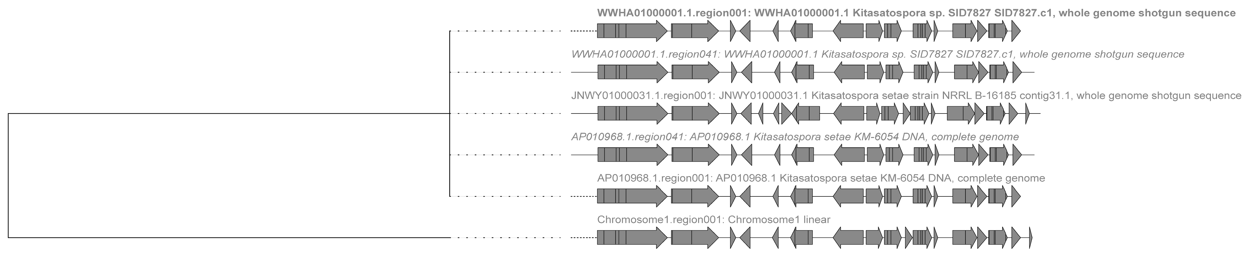 Antibiotics 13 00459 g003