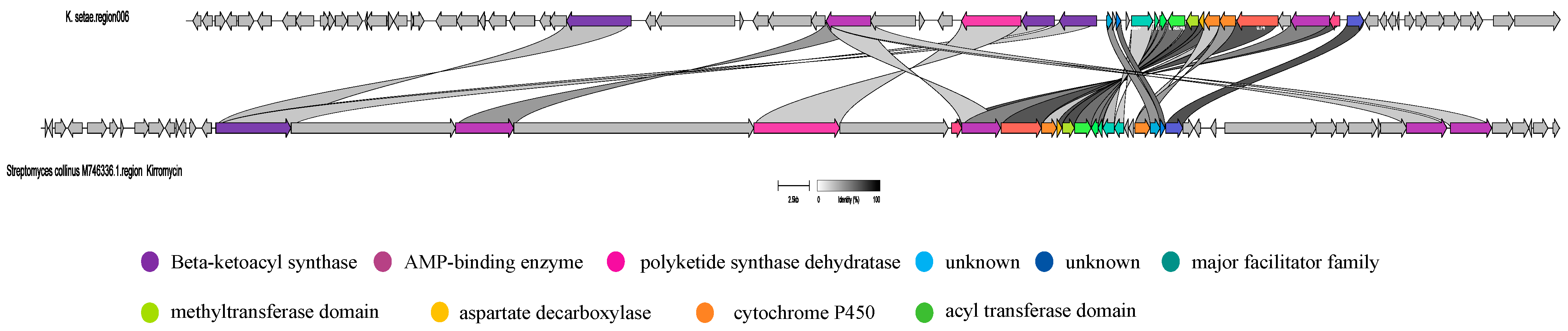 Antibiotics 13 00459 g005