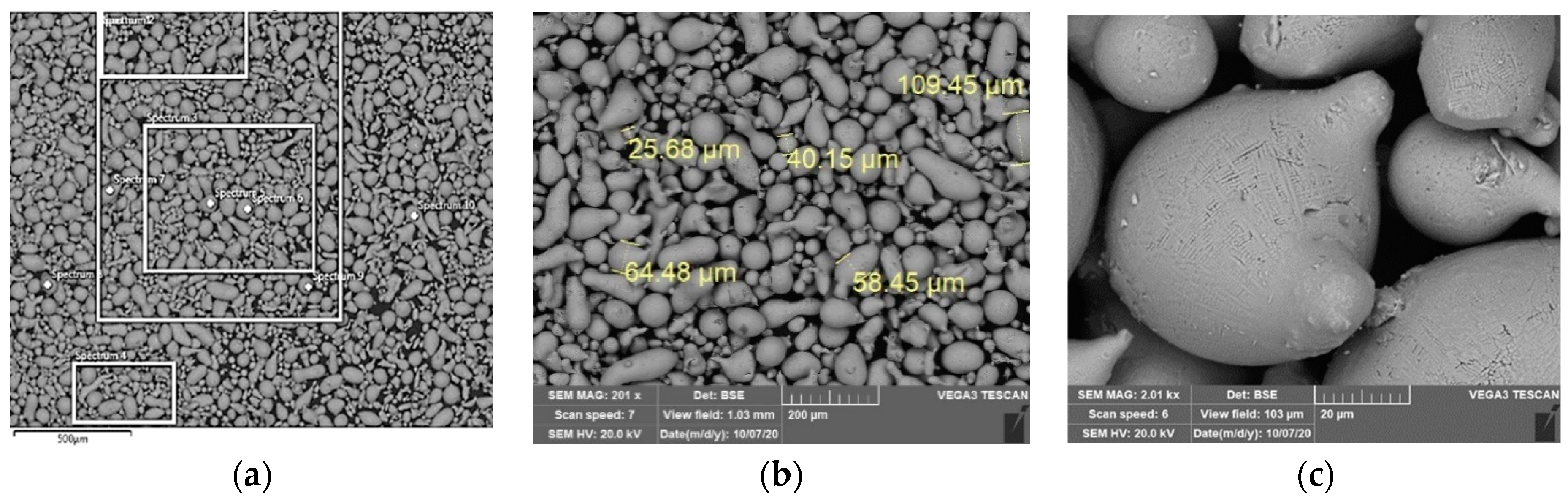 Applsci 14 04159 g001