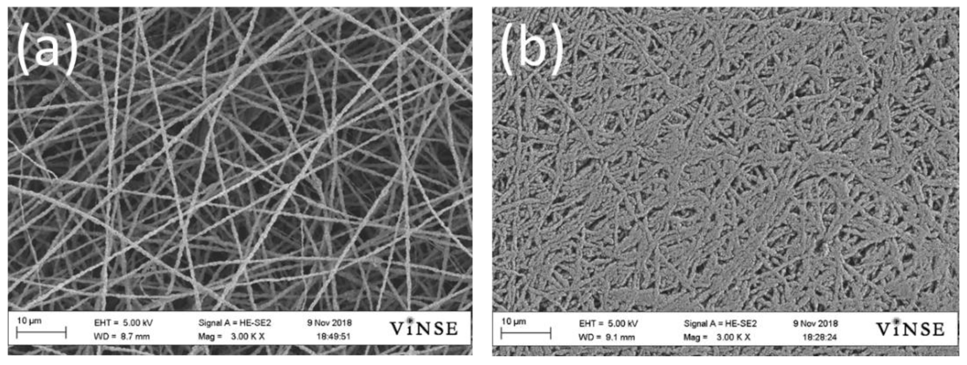 Batteries 09 00569 g002