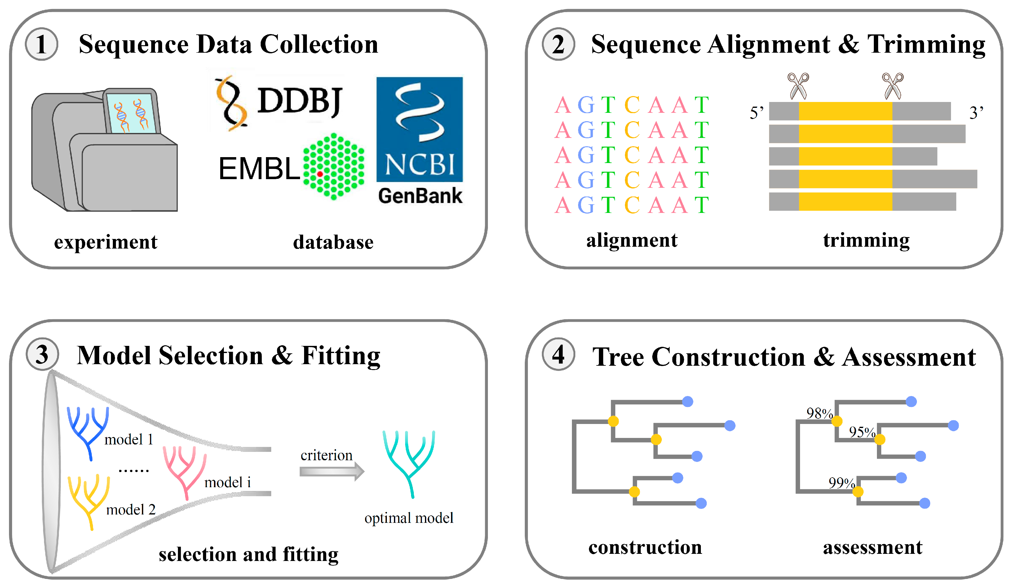 Bioengineering 11 00480 g002 Bioengineering 11 00480 g002