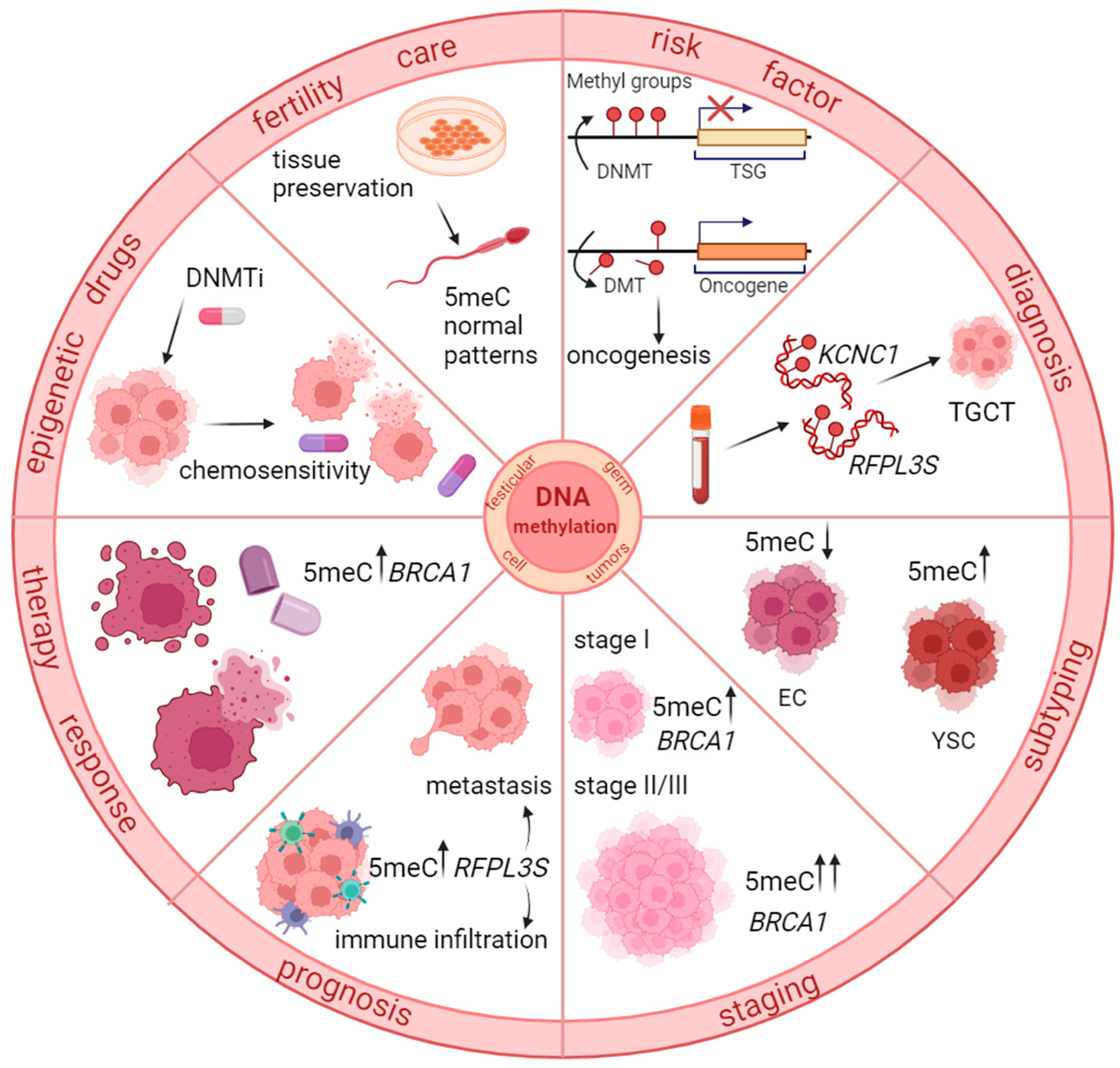 Biomedicines 12 01041 g001 Biomedicines 12 01041 g001