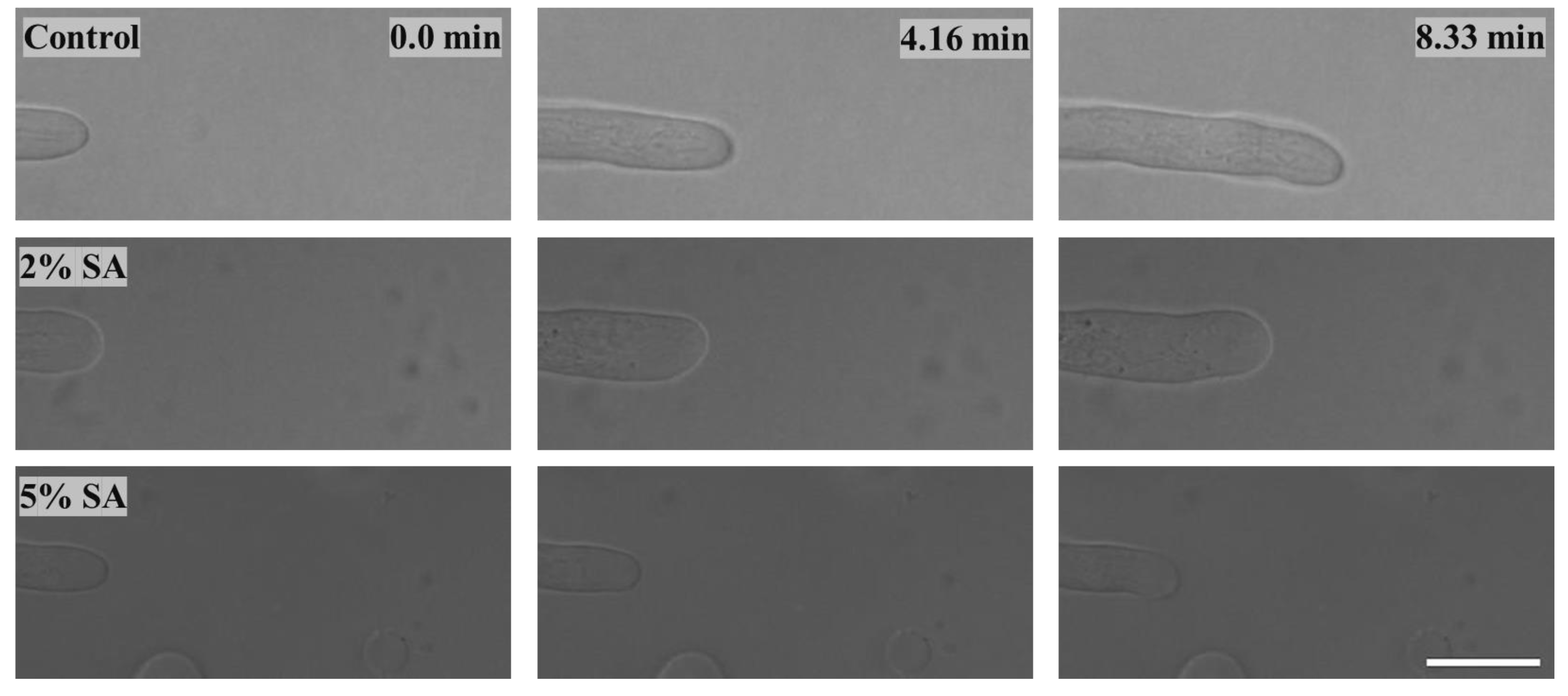 Biomimetics 09 00251 g004 Biomimetics 09 00251 g004