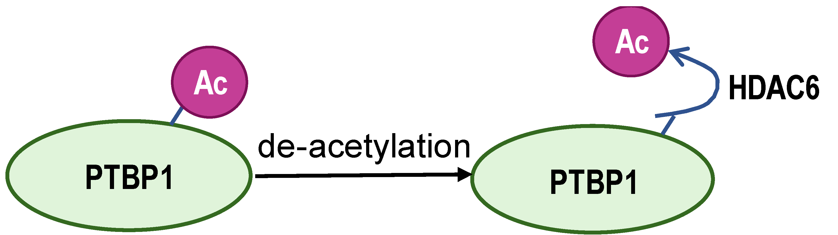 Biomolecules 14 00566 i005 Biomolecules 14 00566 i005
