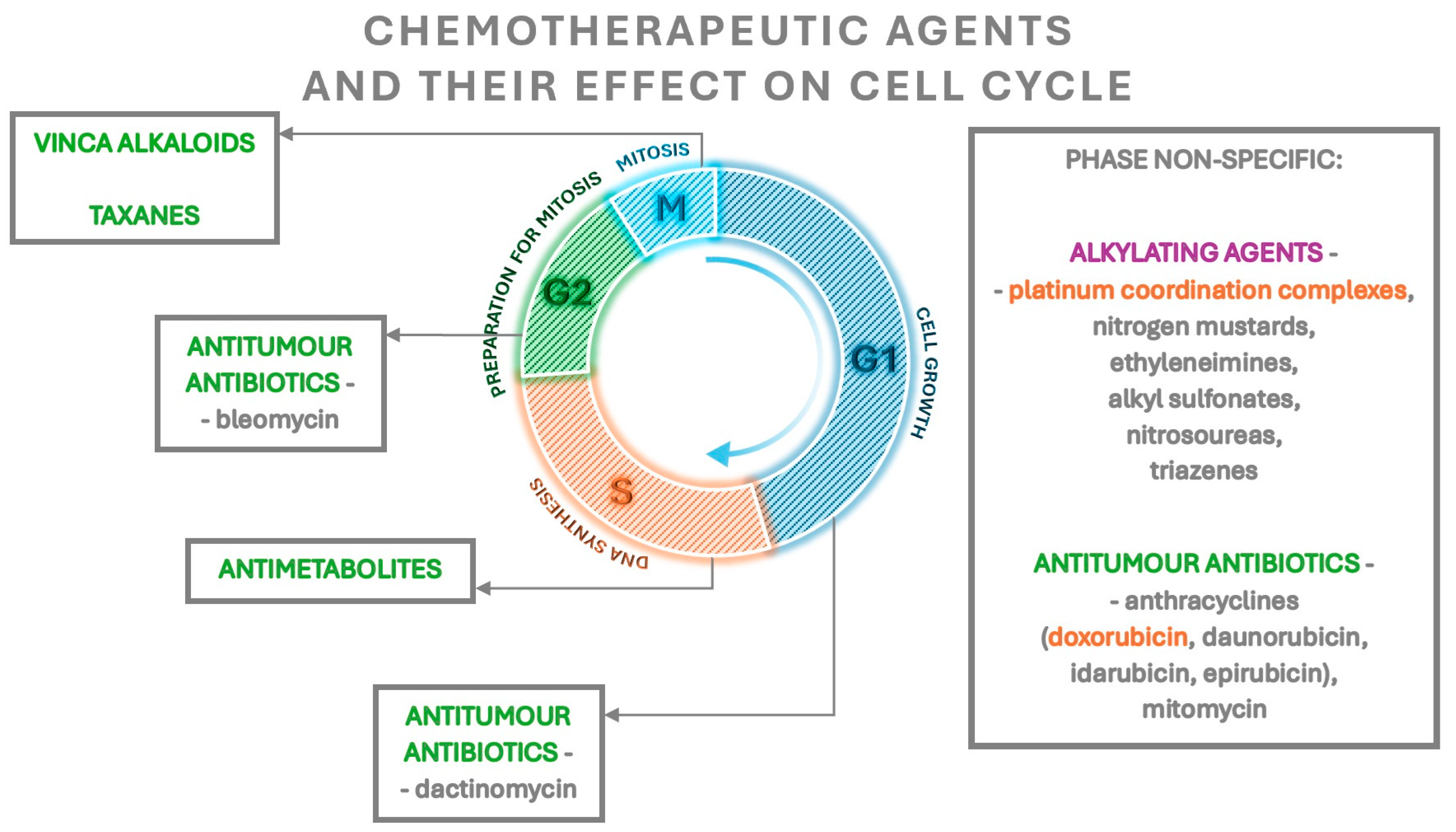 Cancers 16 01858 g001 Cancers 16 01858 g001