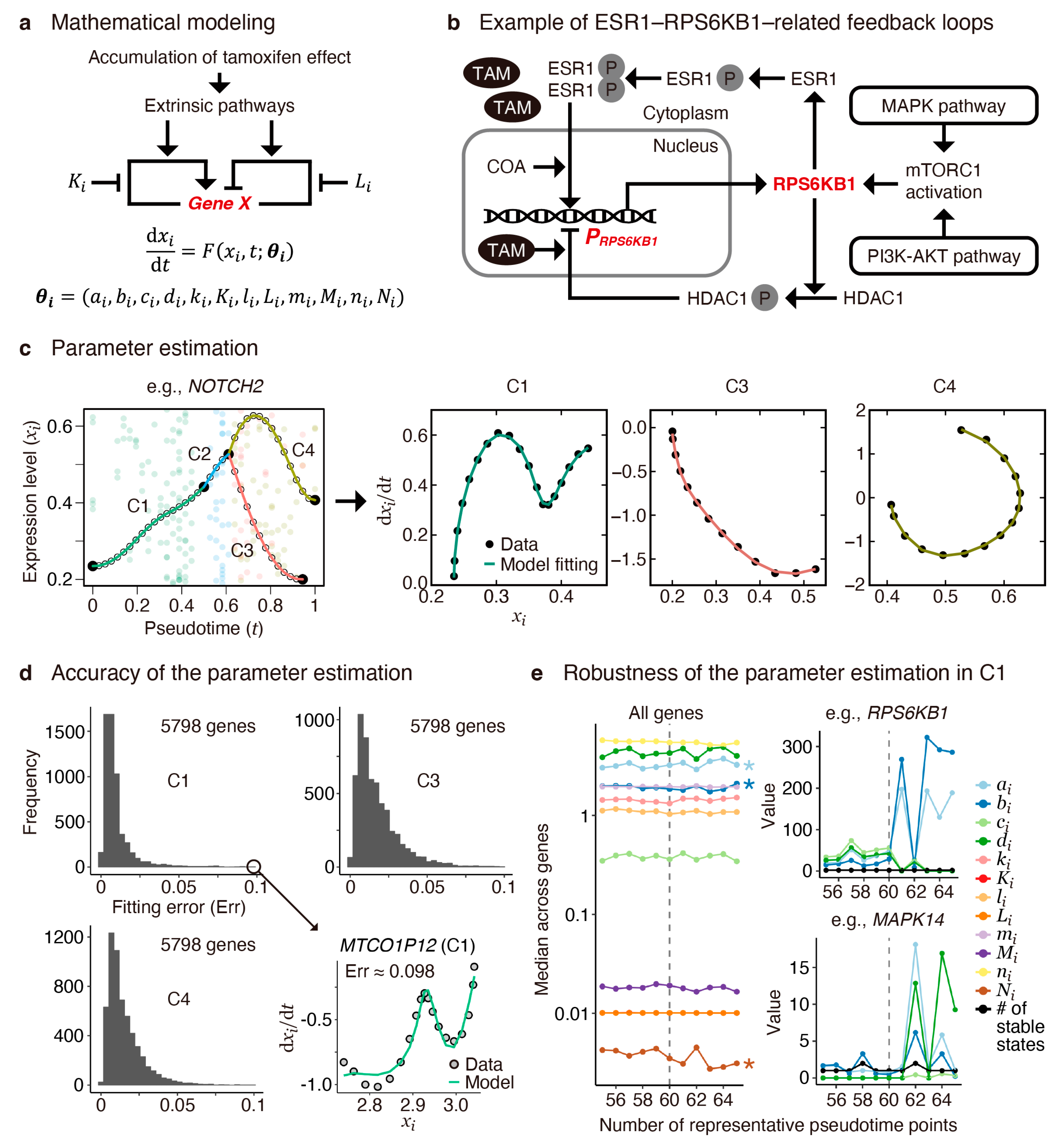 Cancers 16 01884 g003