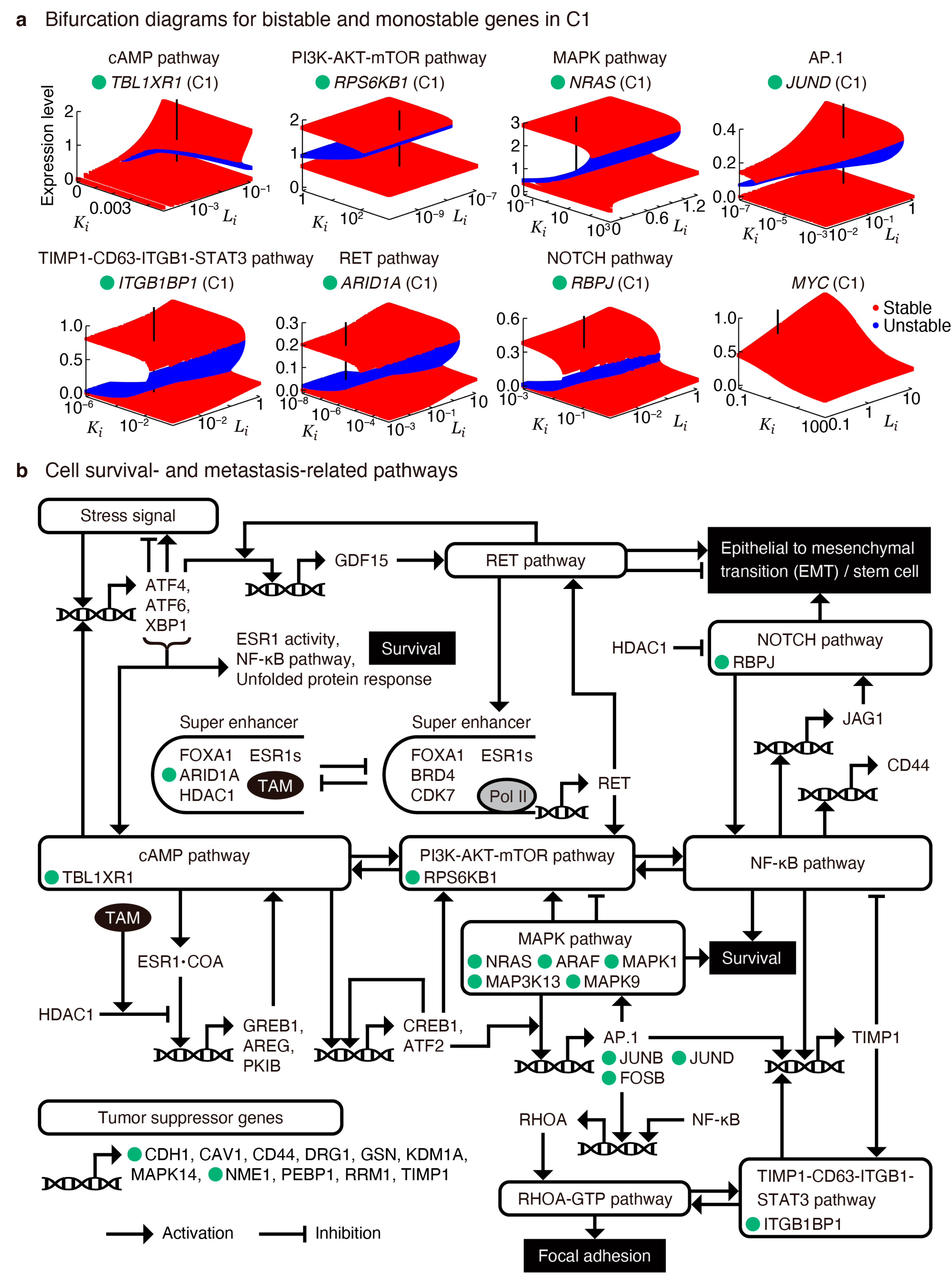 Cancers 16 01884 g005