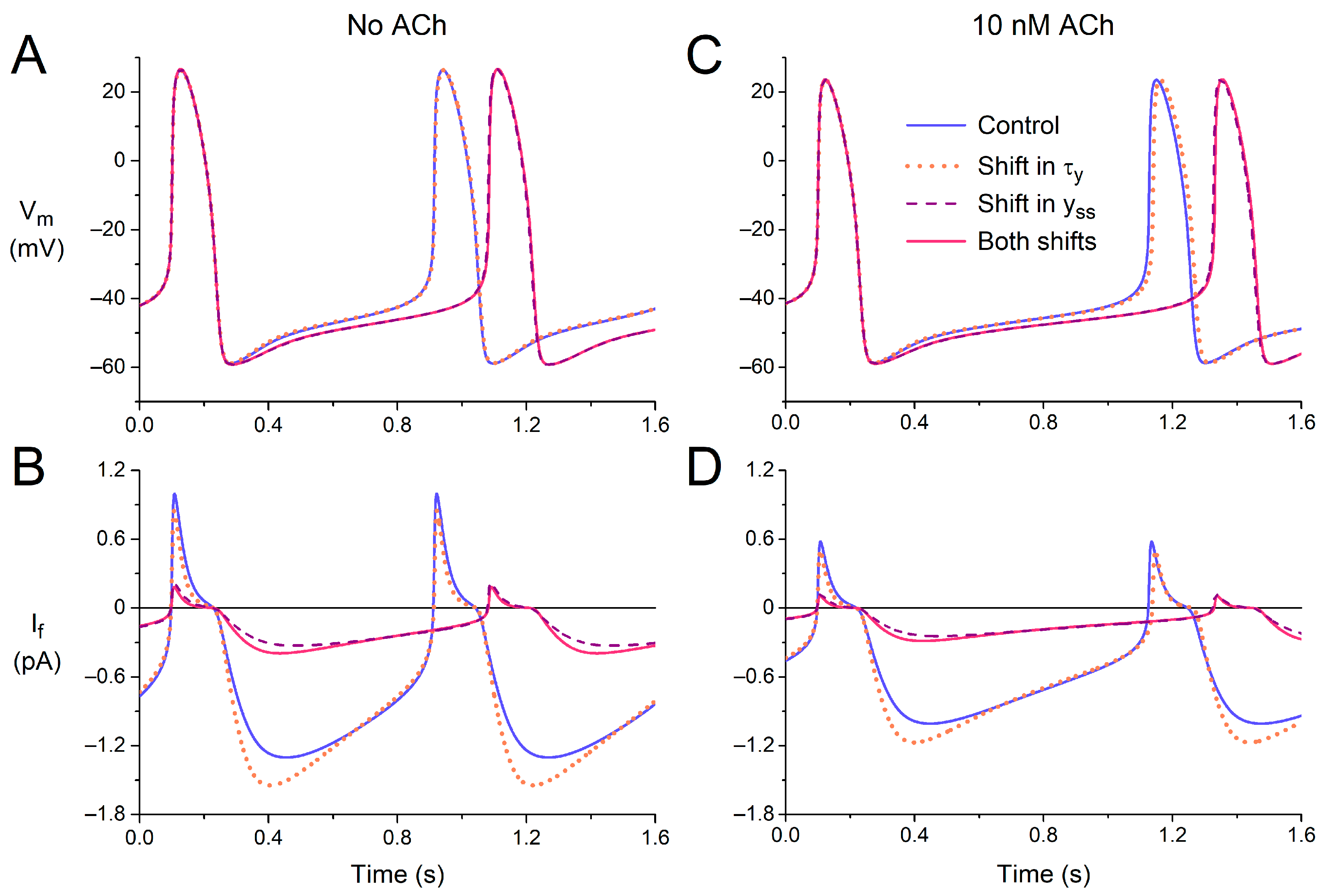 Cardiogenetics 13 00012 g007 Cardiogenetics 13 00012 g007