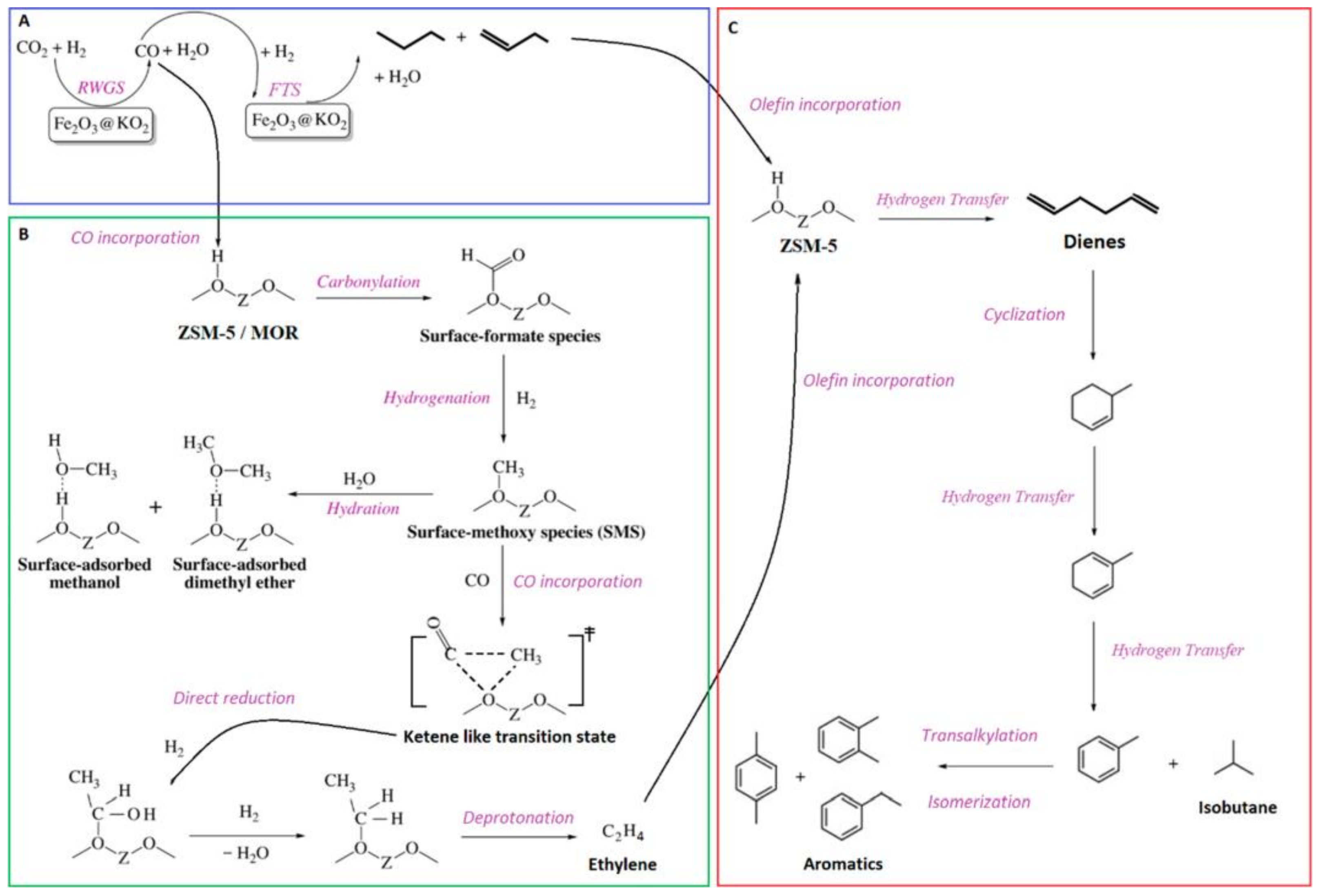 Catalysts 14 00328 g004