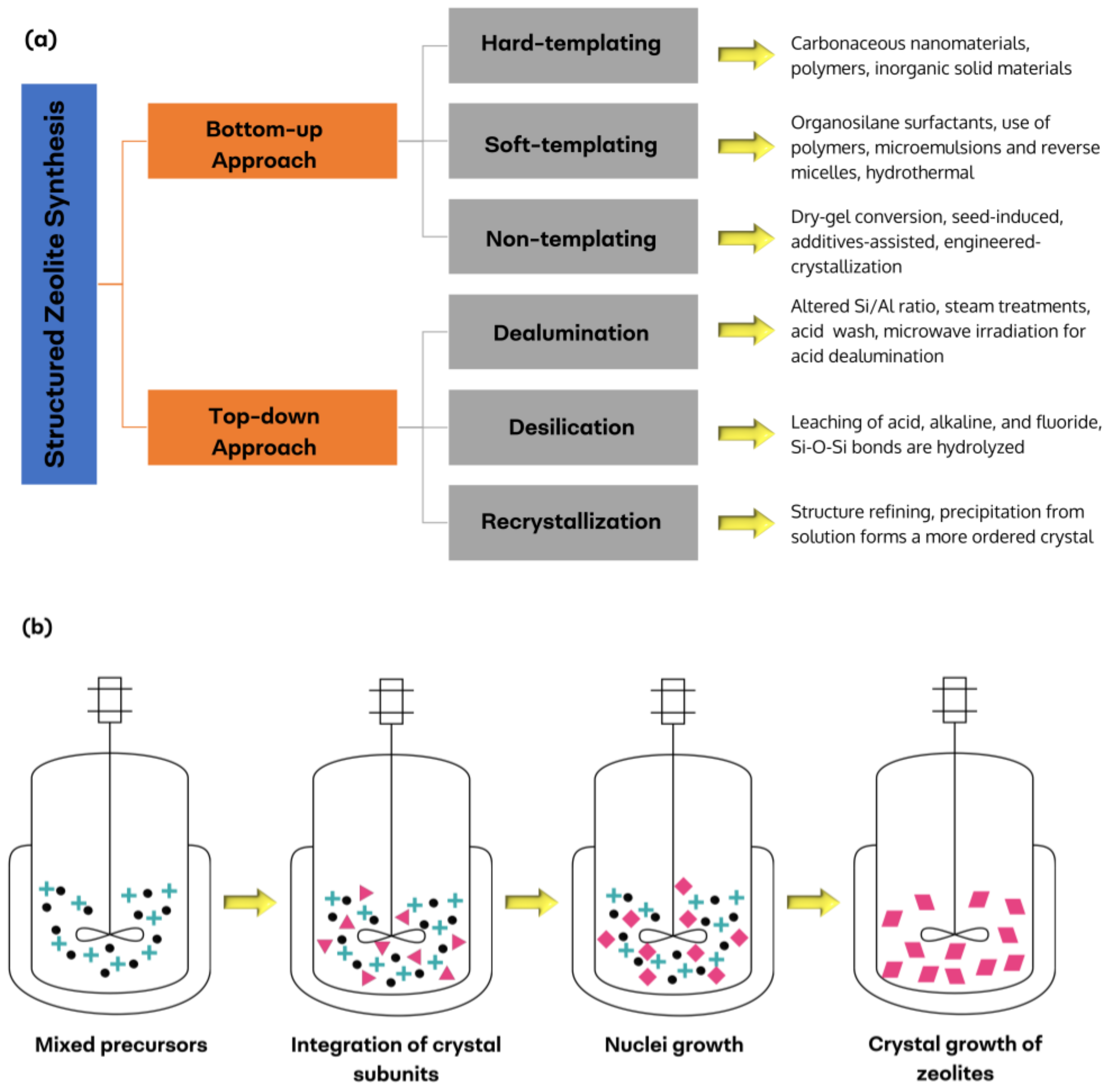 Catalysts 14 00328 g009