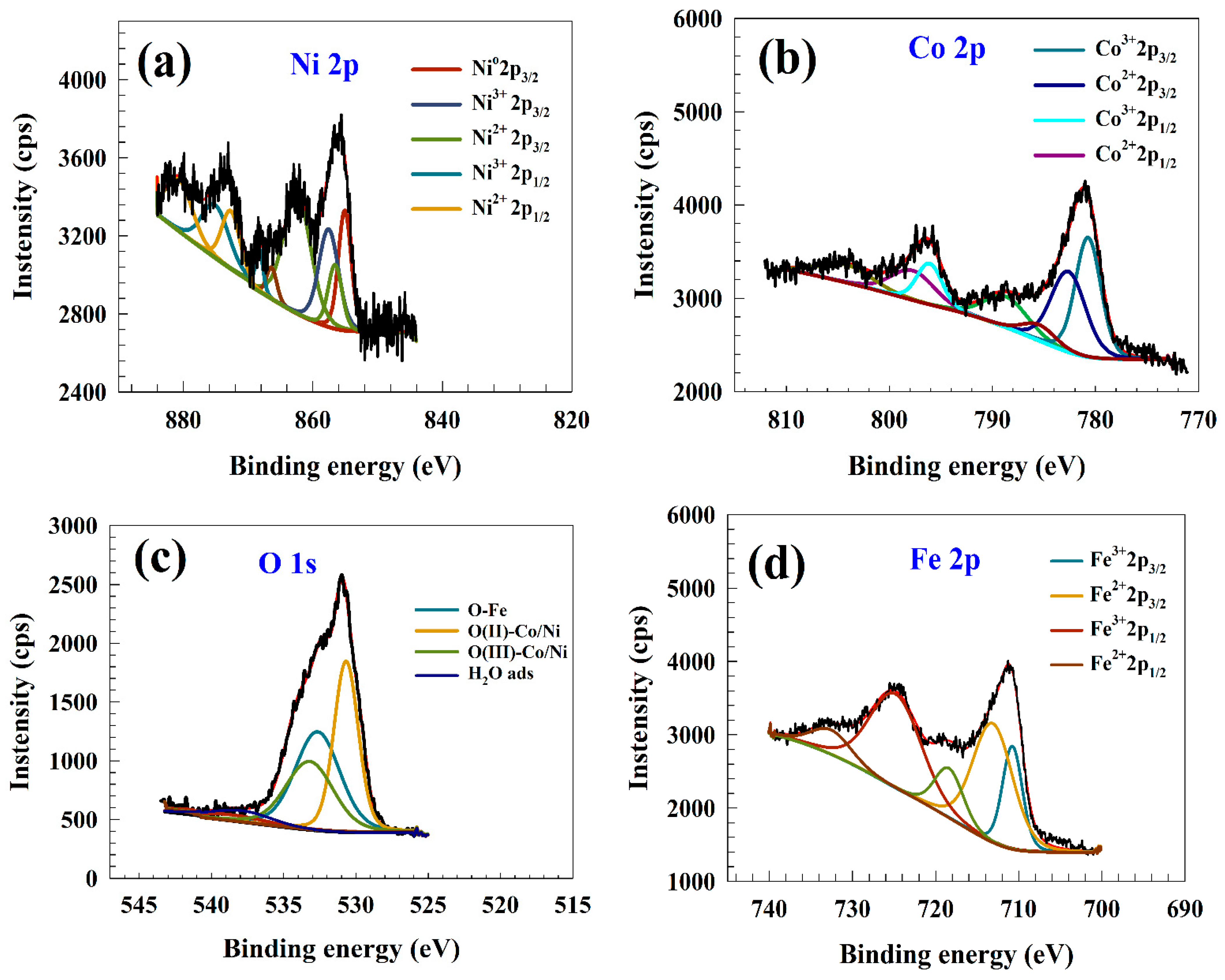 Catalysts 14 00329 g002