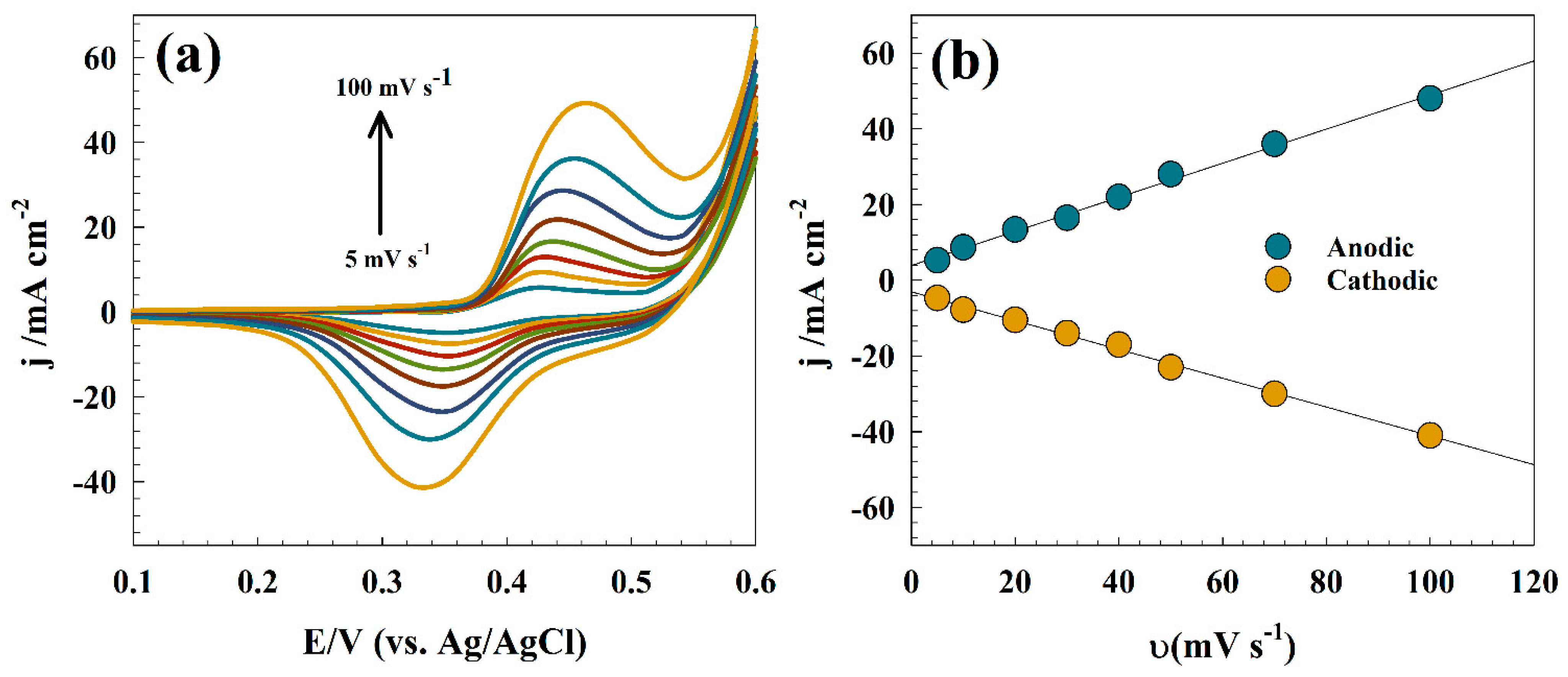 Catalysts 14 00329 g006